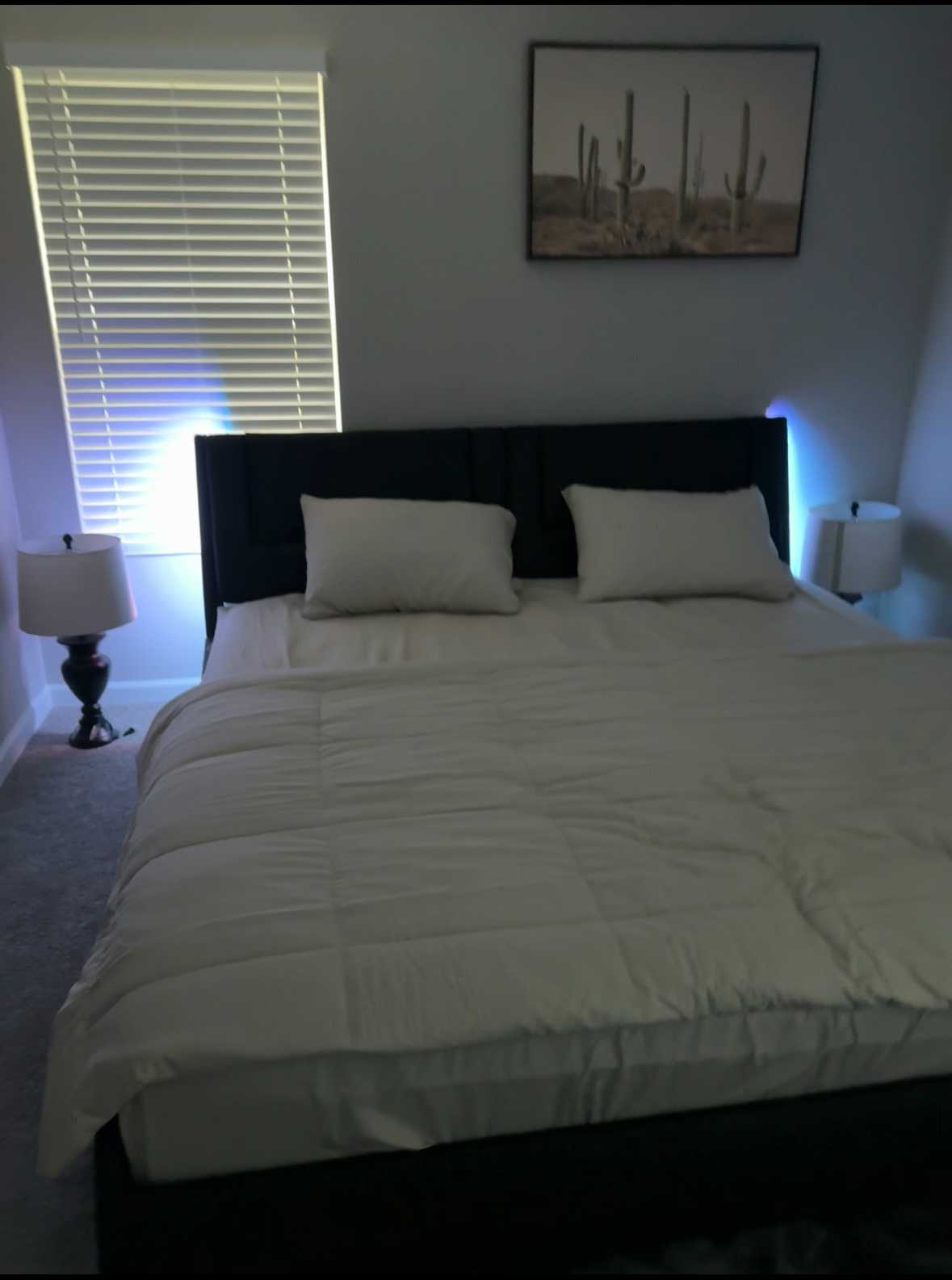 Listing photo-4