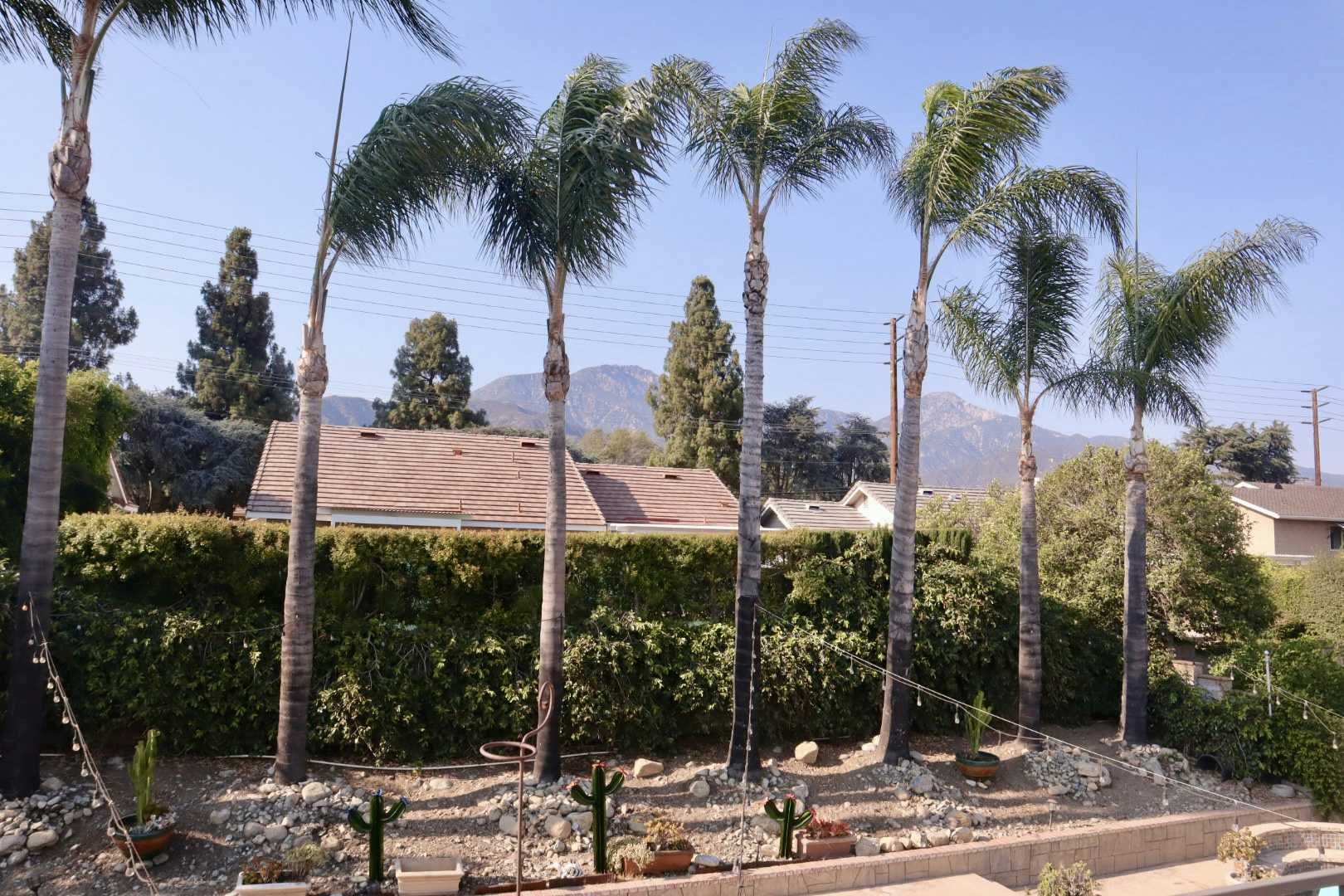 Listing photo-5