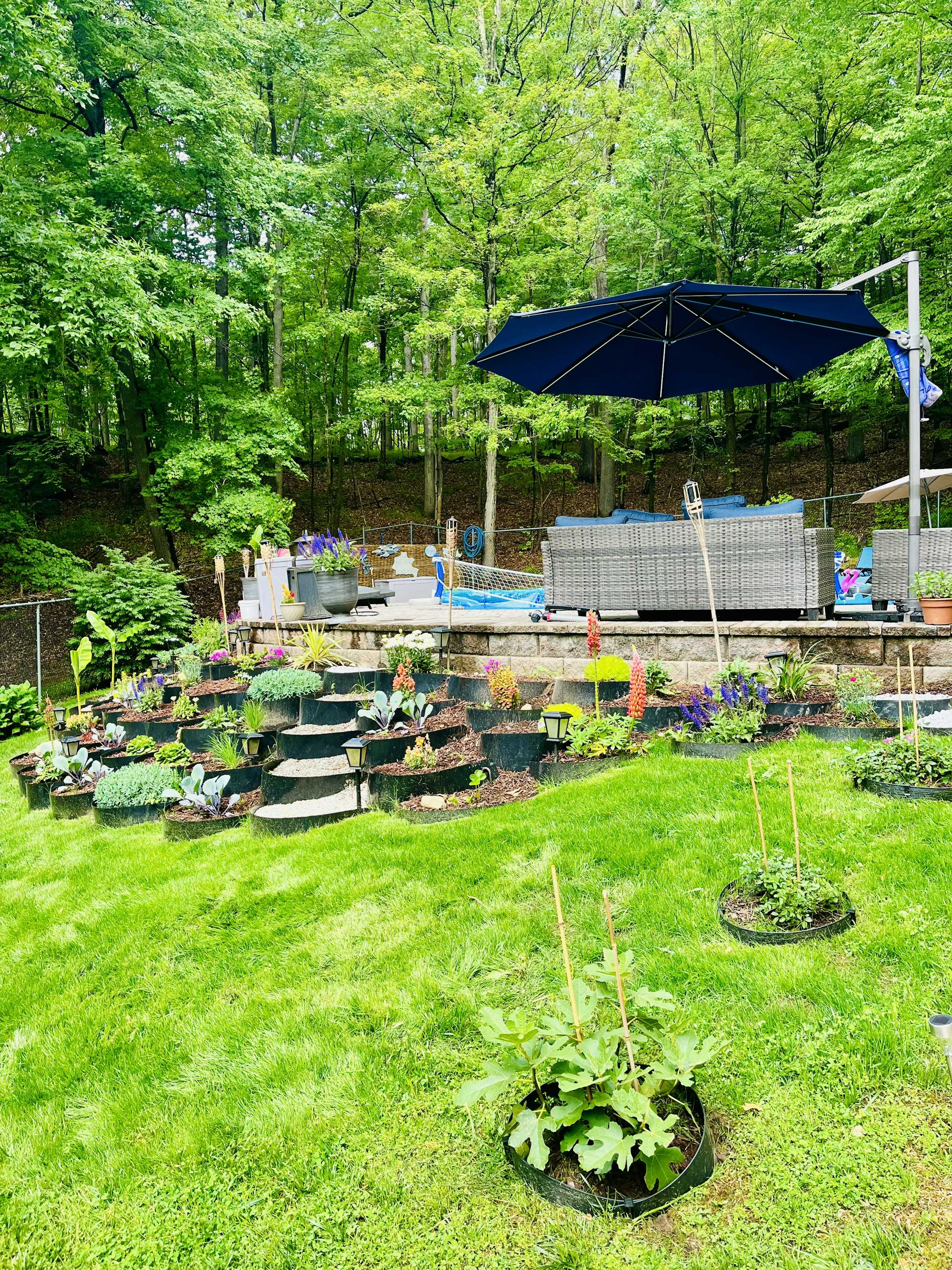 Listing photo-5