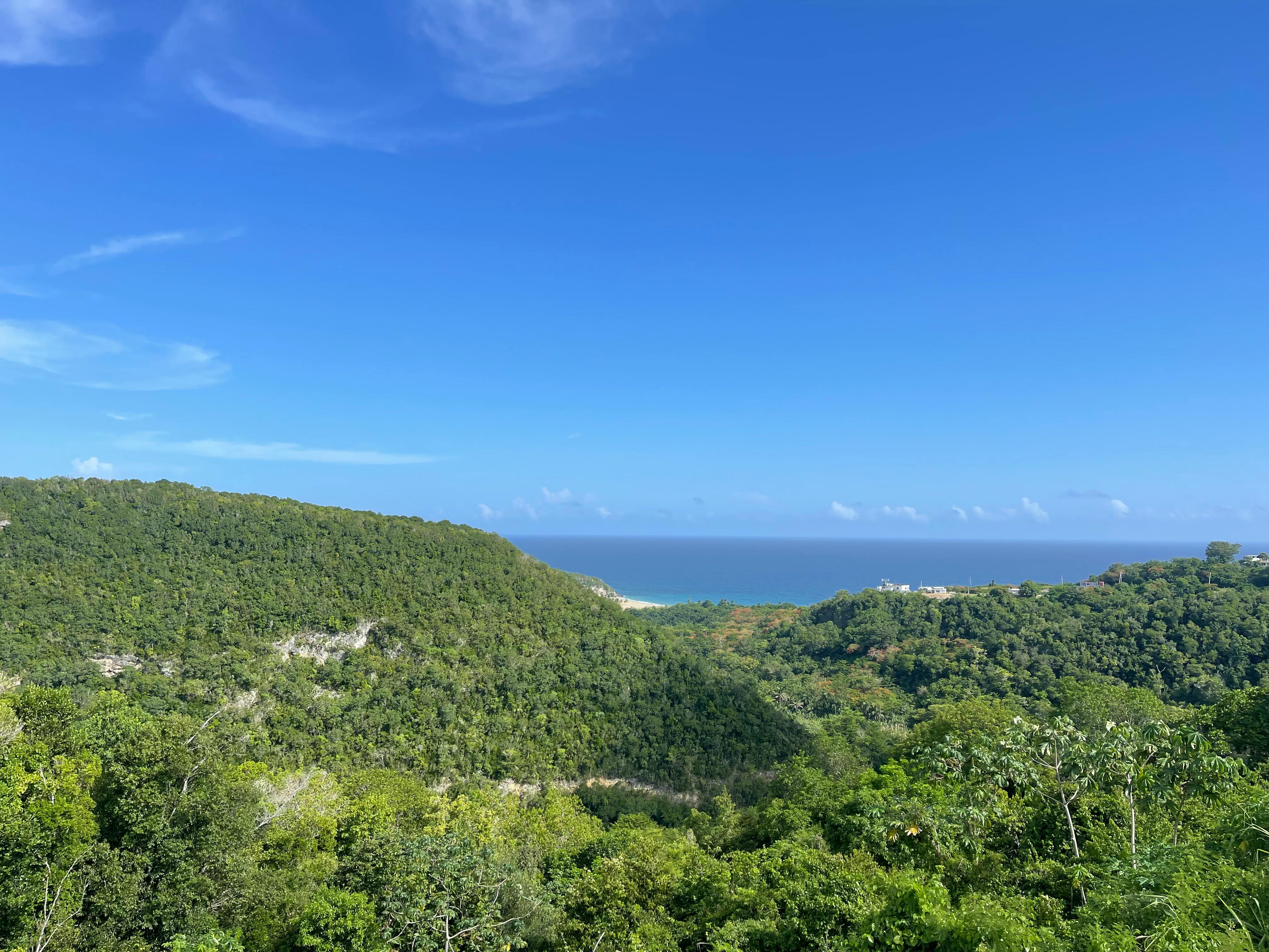 Listing photo-5