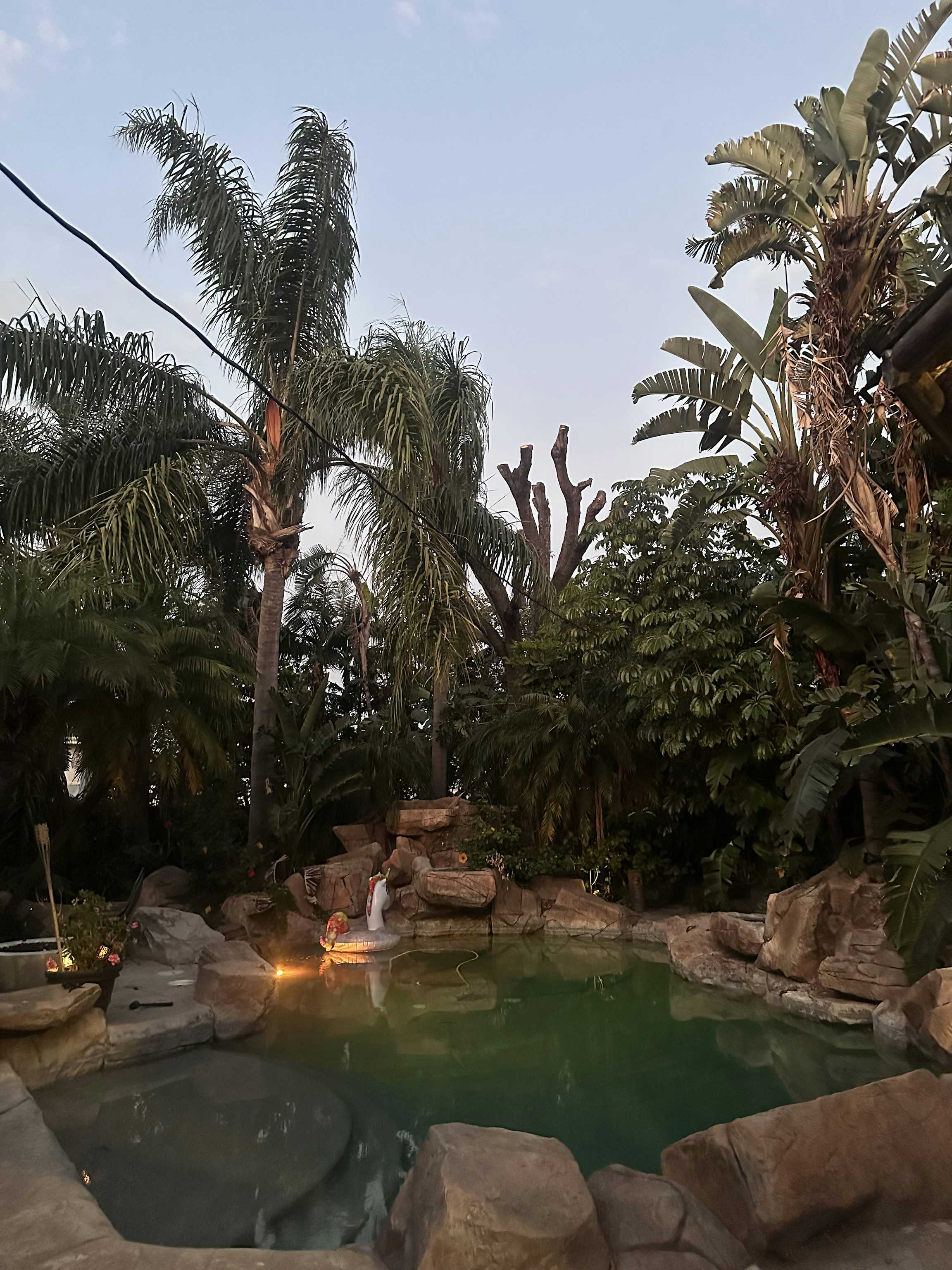 Listing photo-5