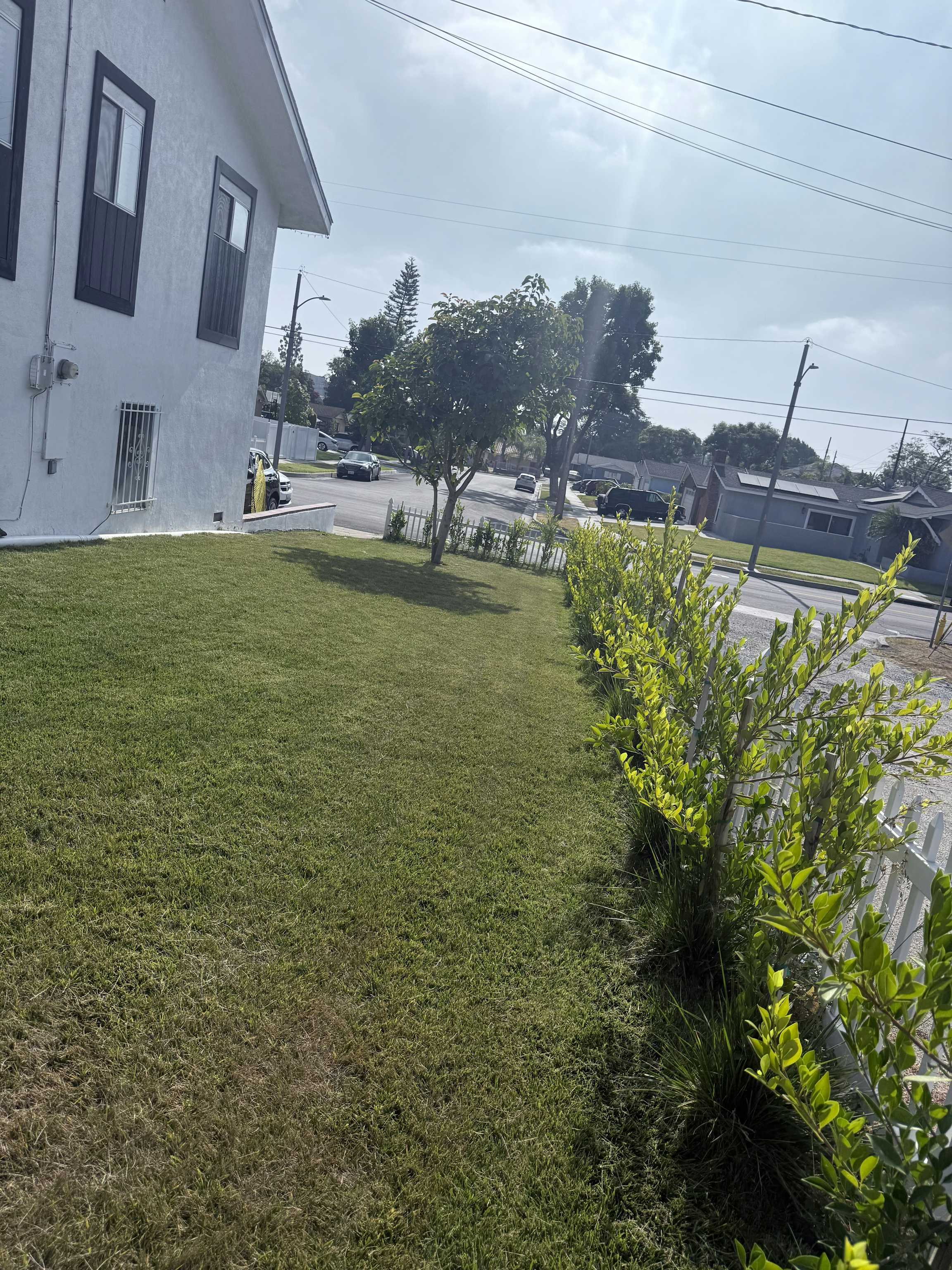 Listing photo-5