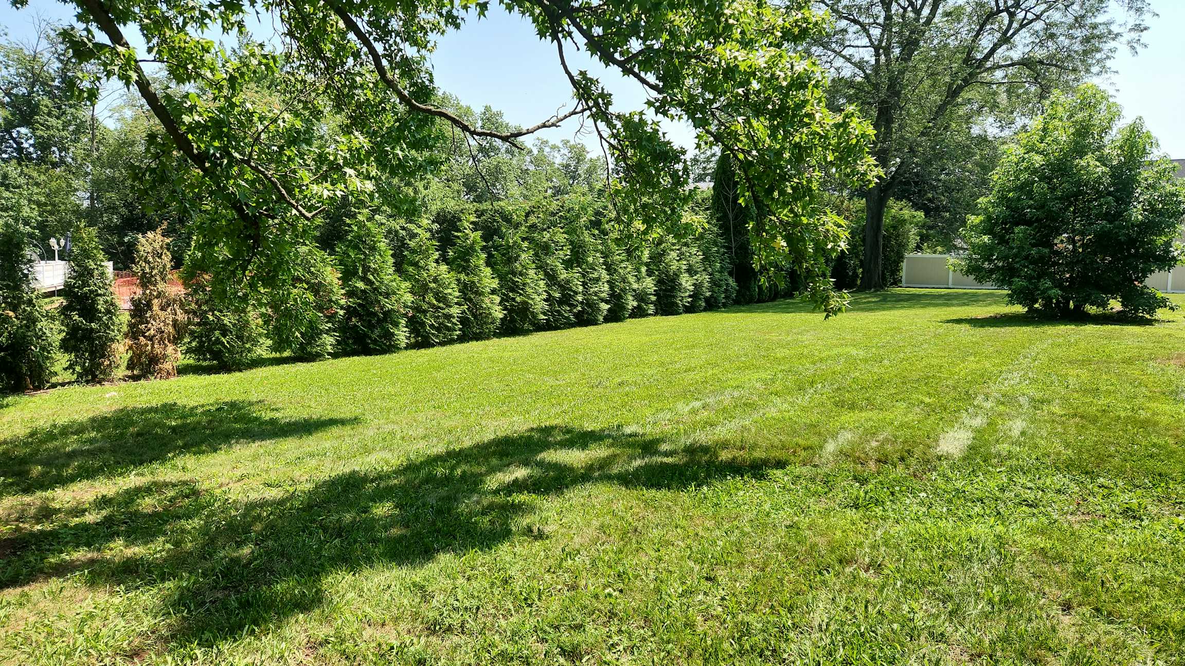 Listing photo-2