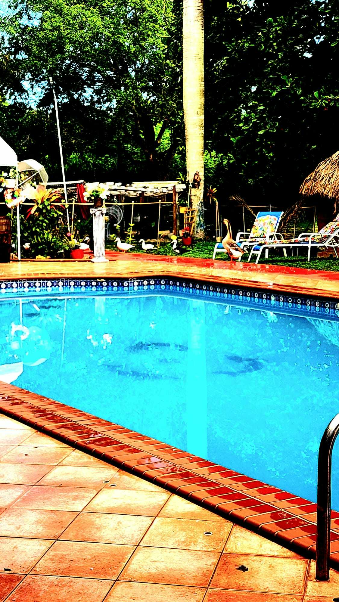 Listing photo-3
