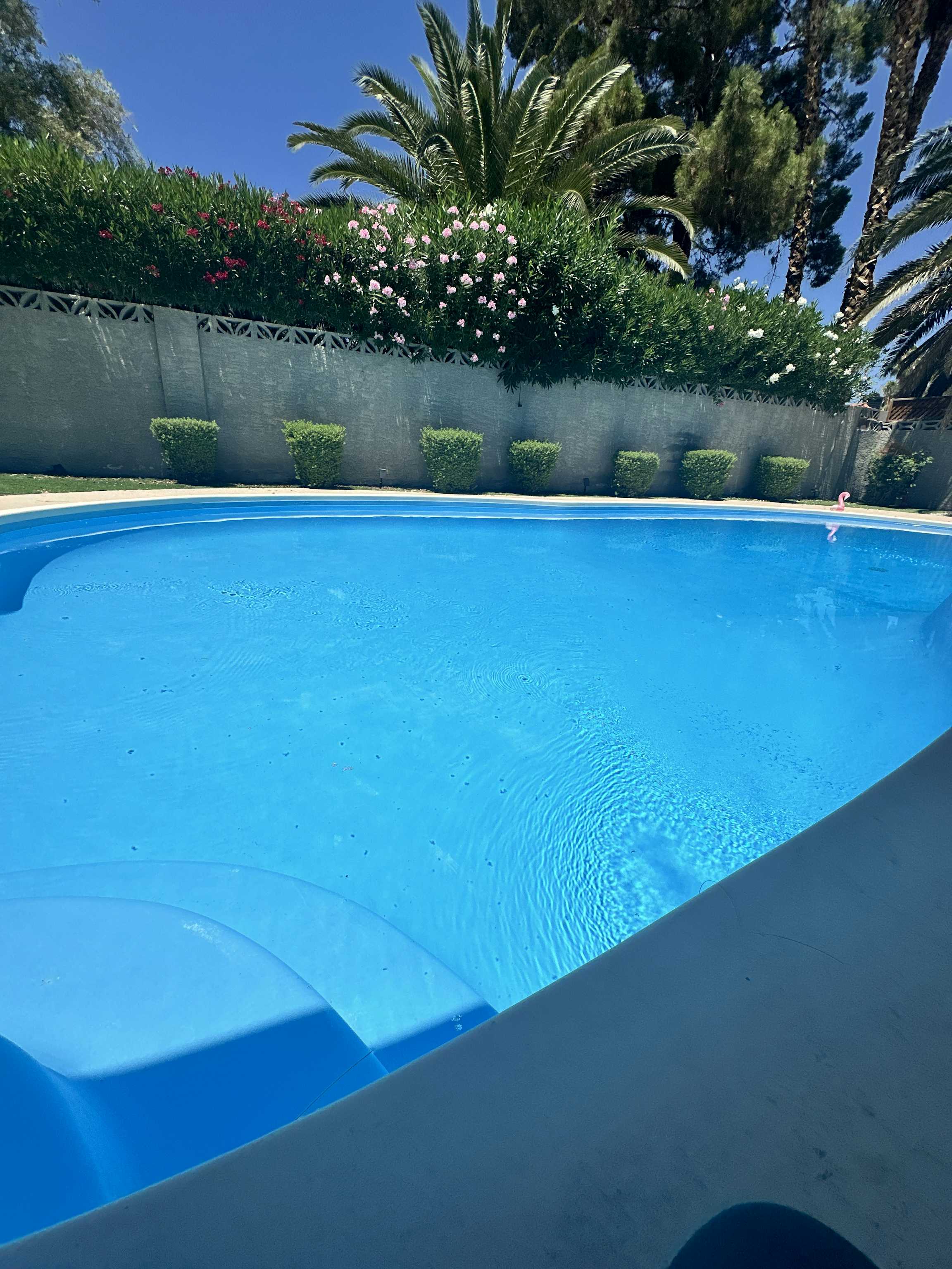 Listing photo-4