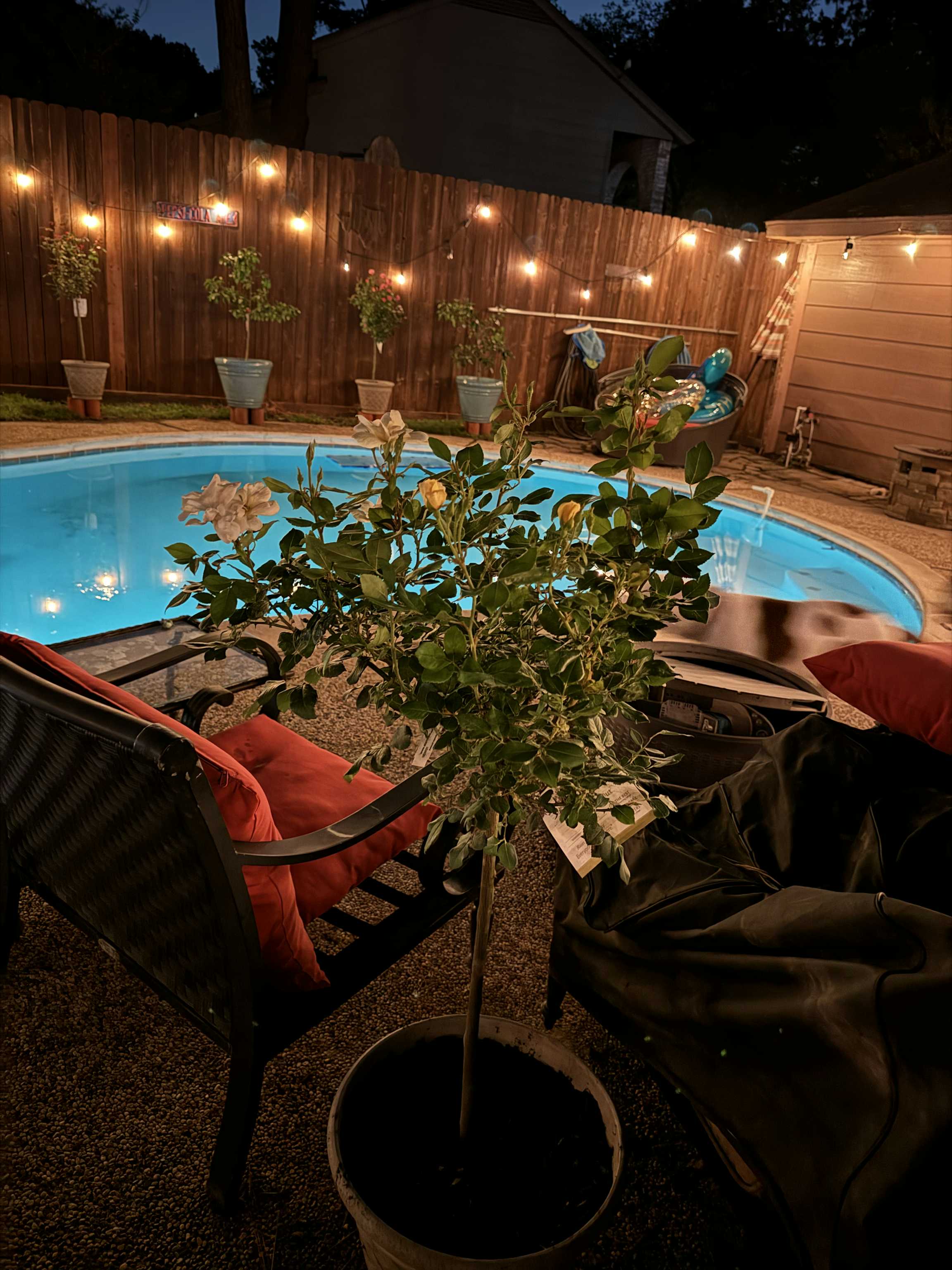 Listing photo-3