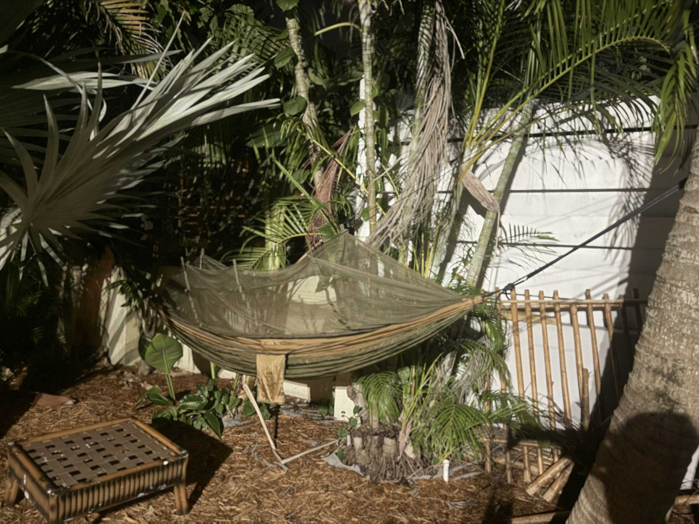 Listing photo-5
