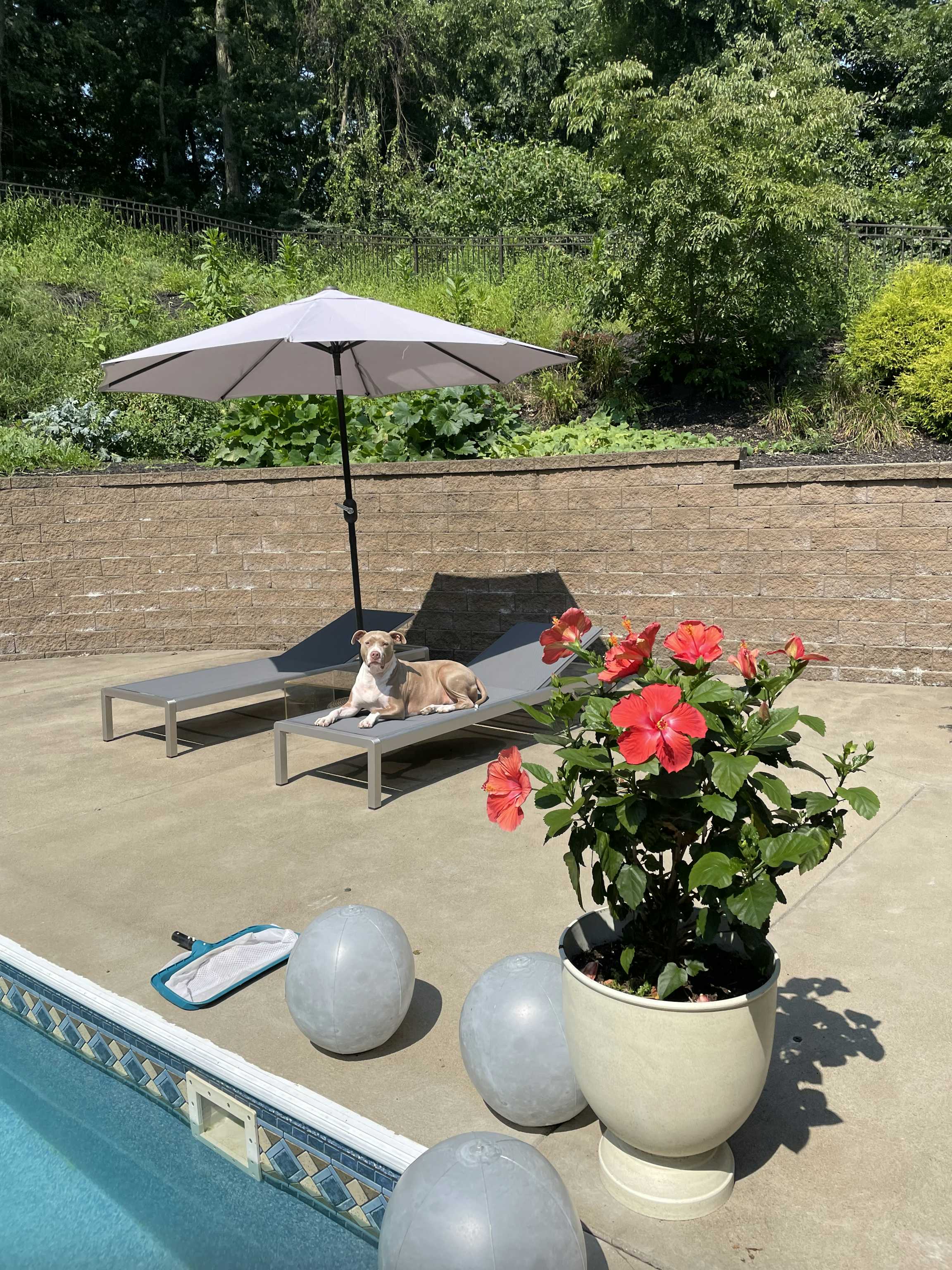 Listing photo-4