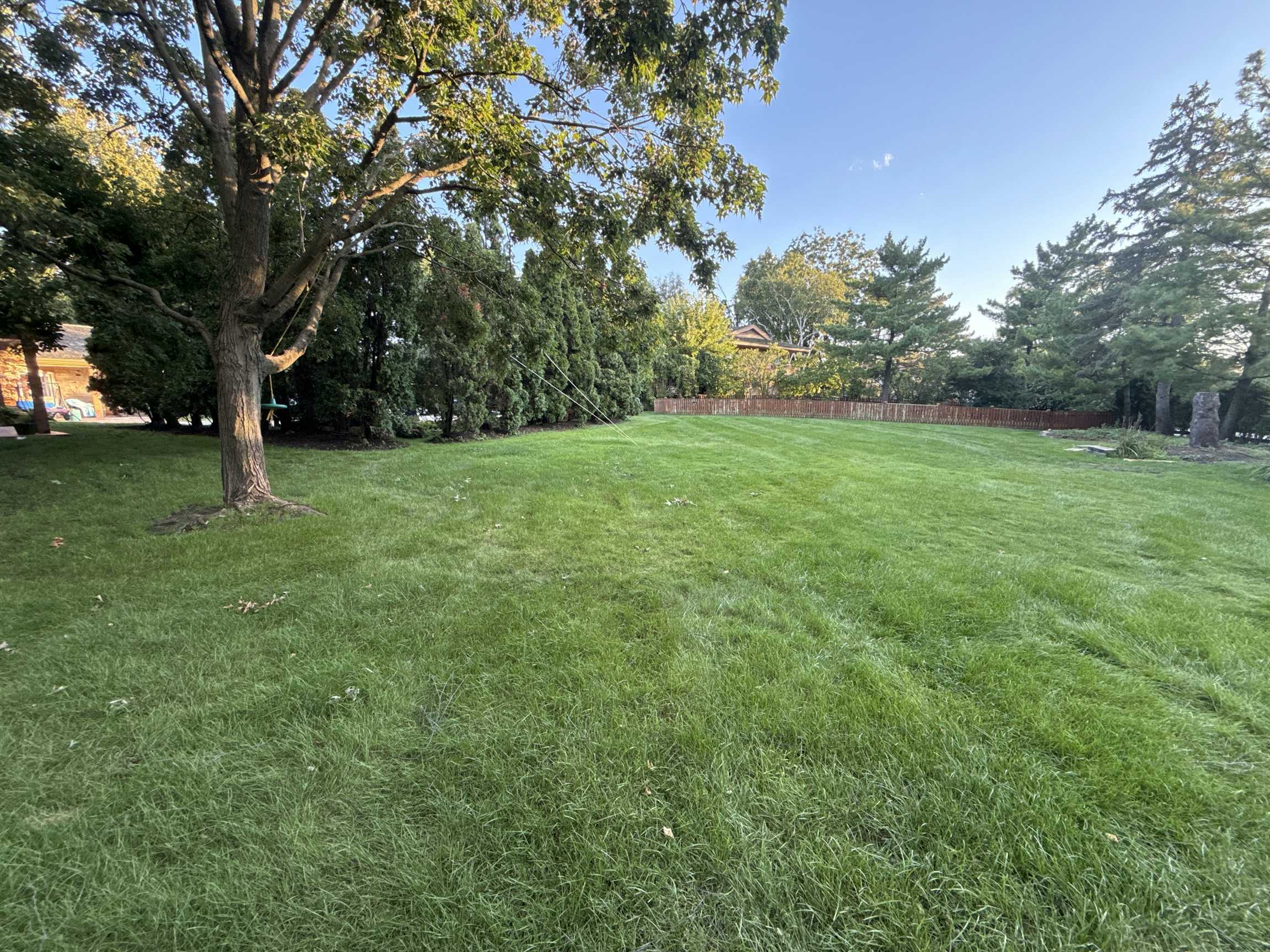 Listing photo-4