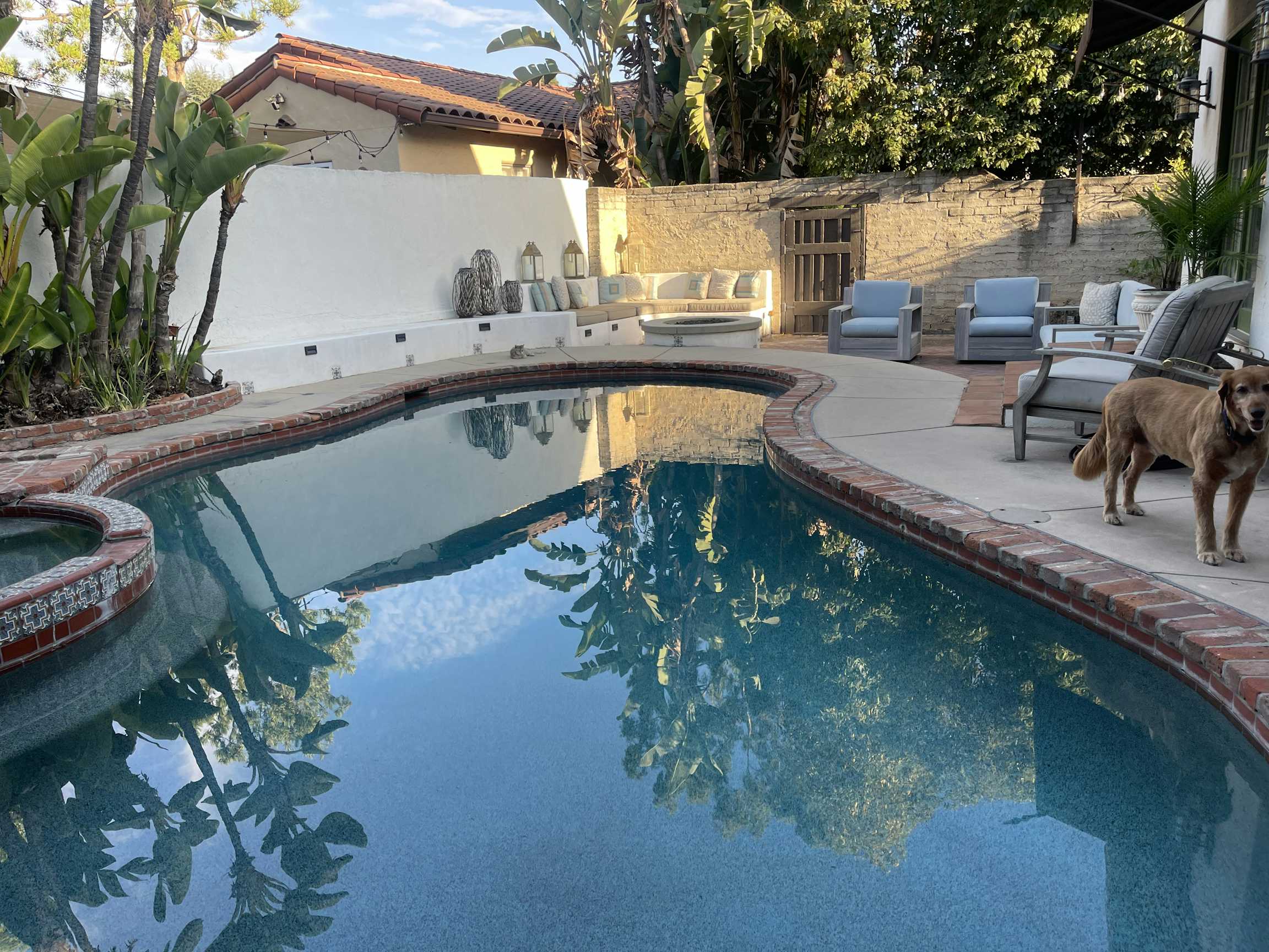 Listing photo-2