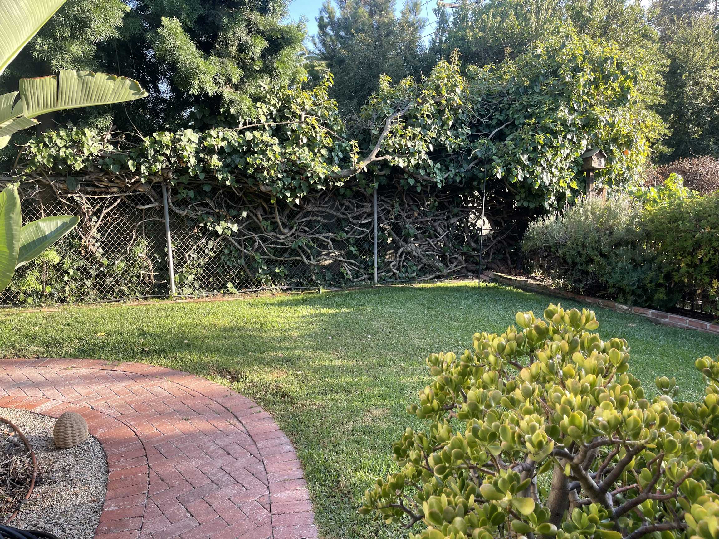 Listing photo-5