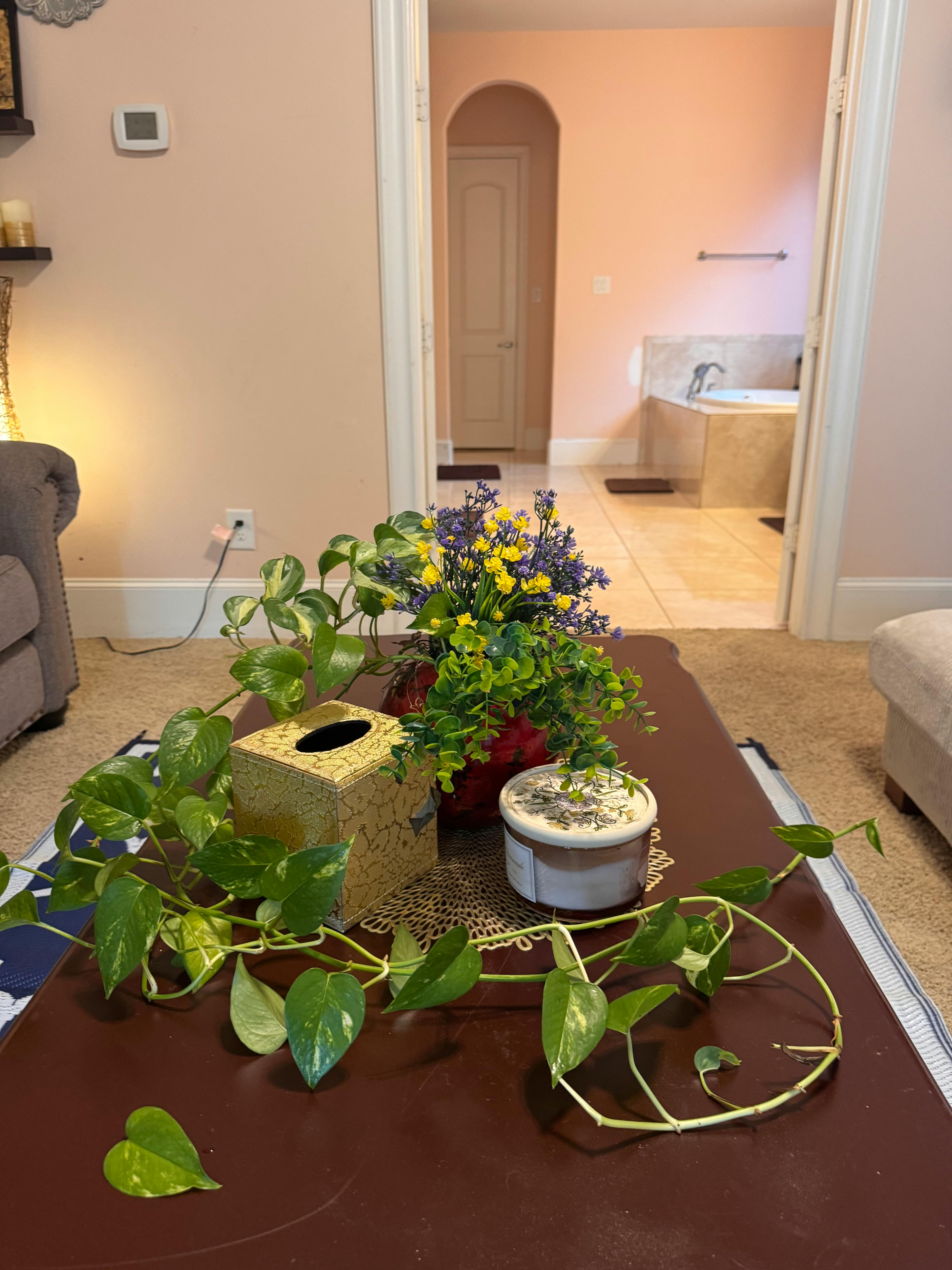 Listing photo-2