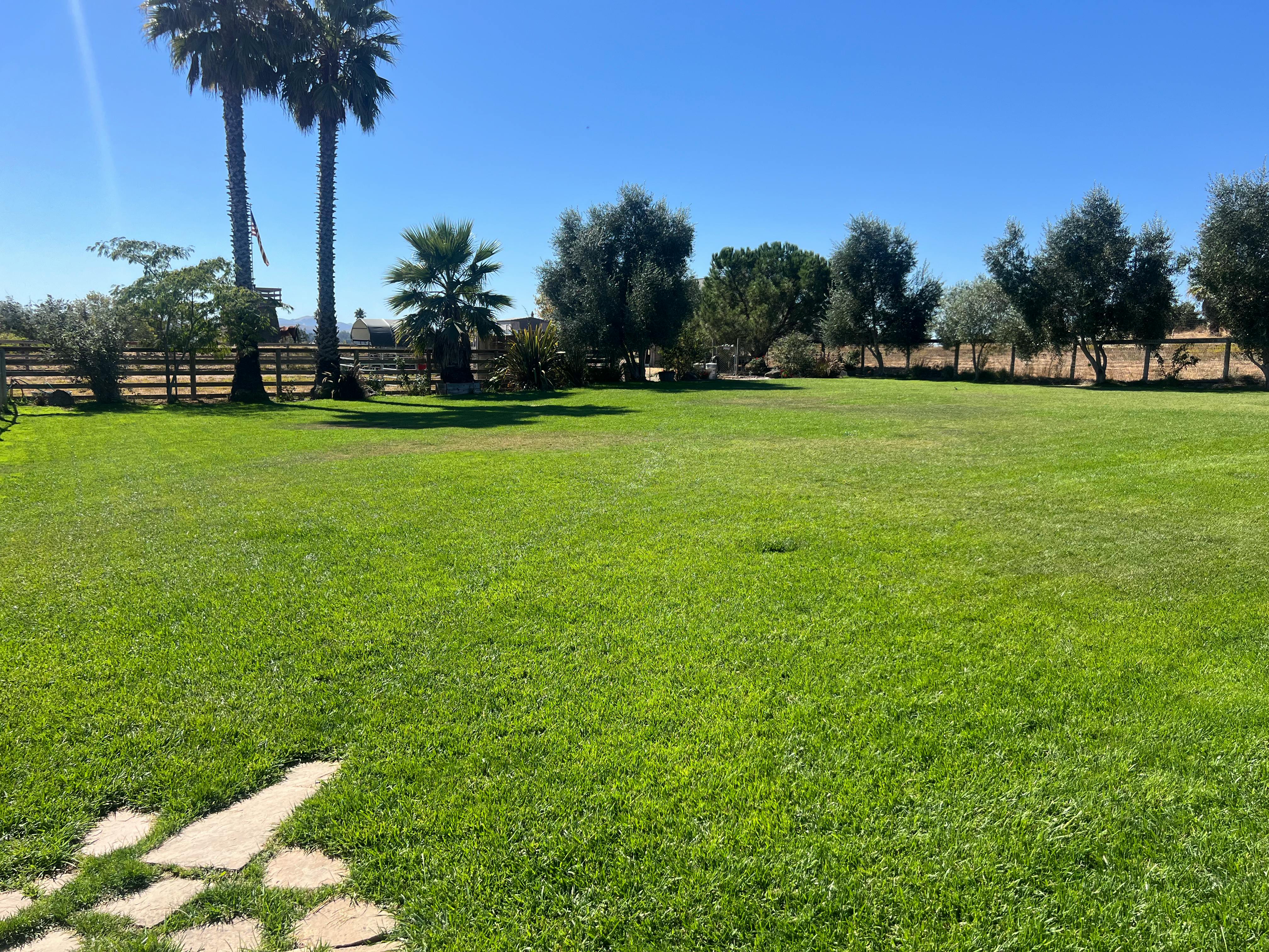 Listing photo-3