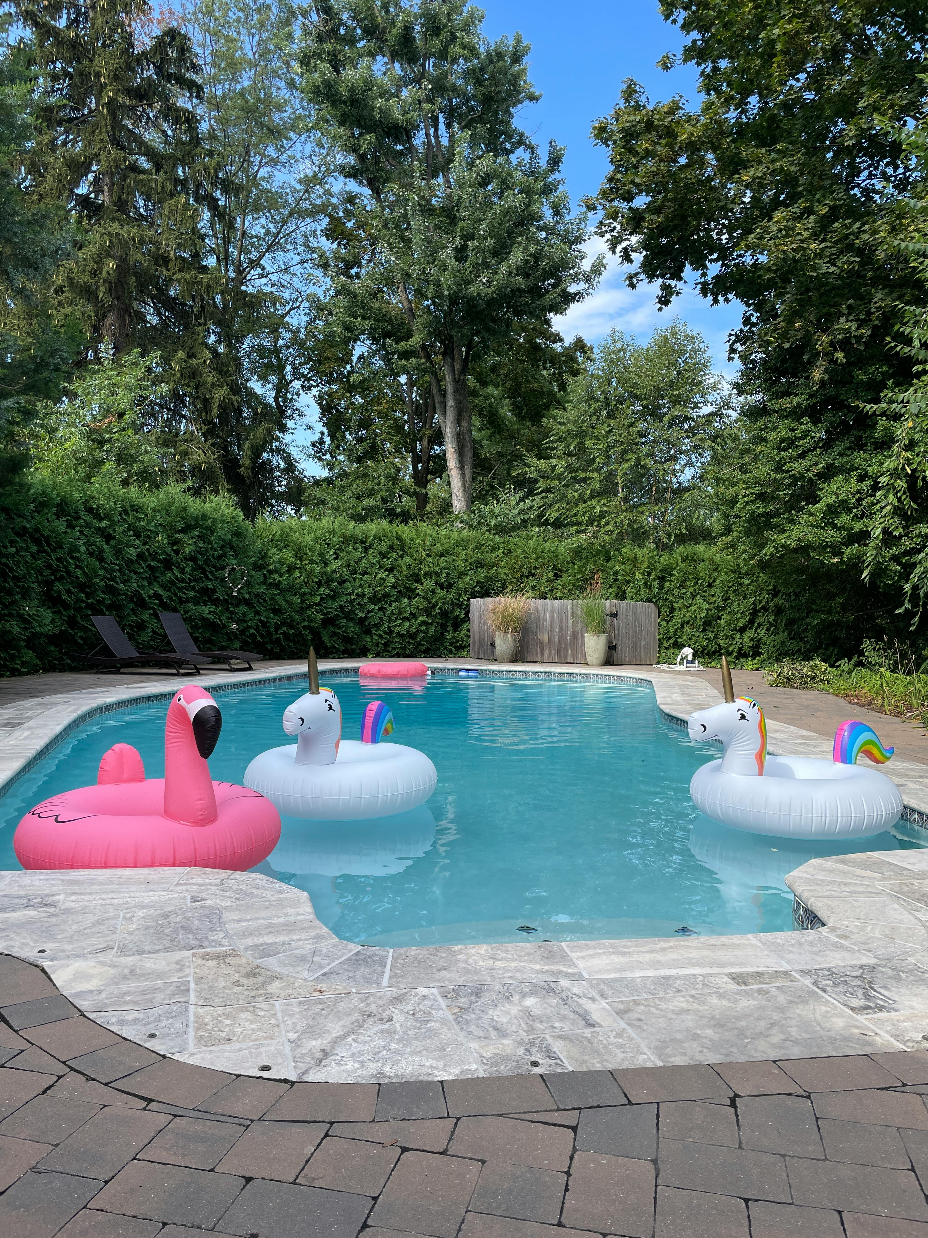 Listing photo-5