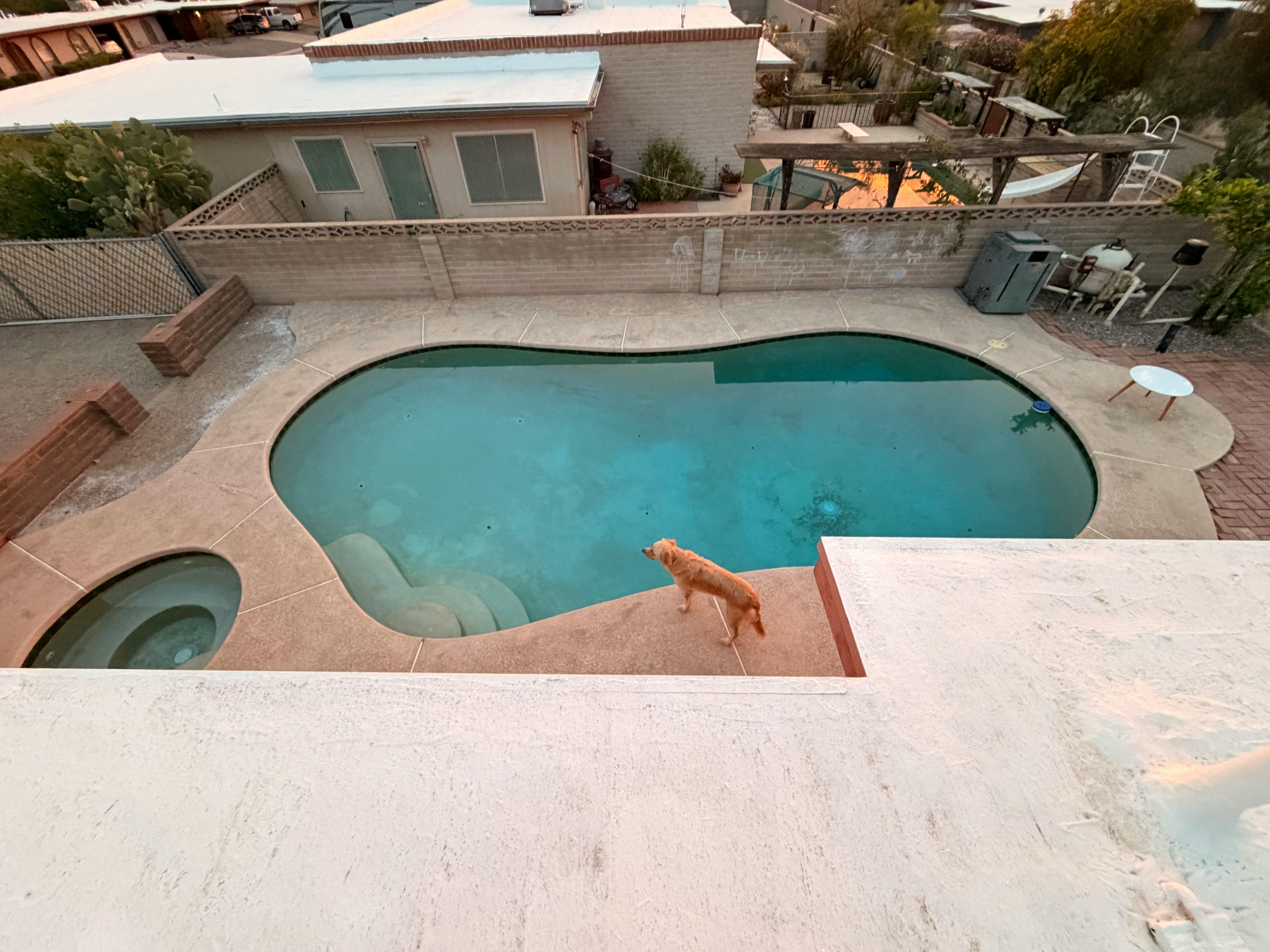 Listing photo-5
