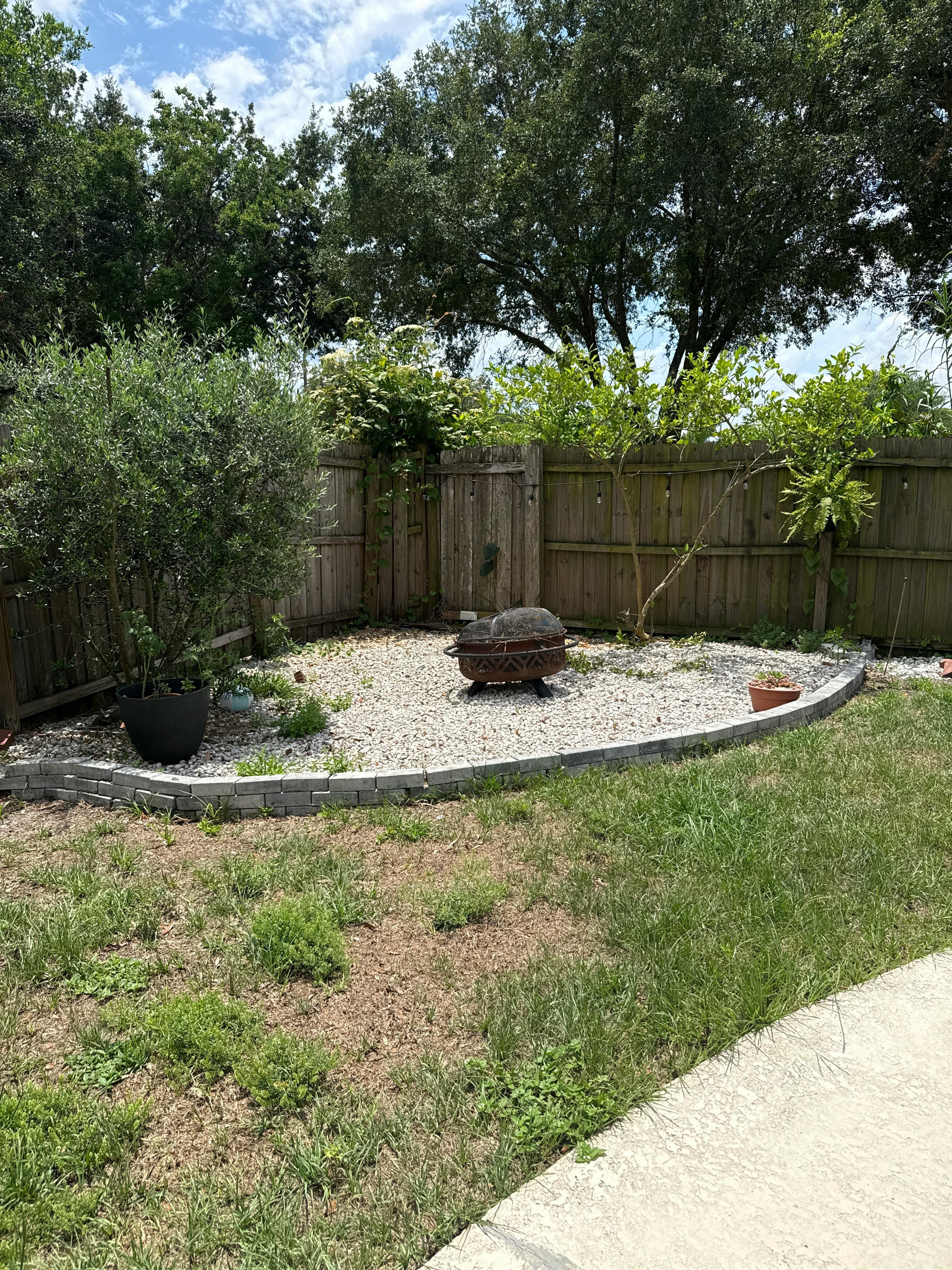 Listing photo-3
