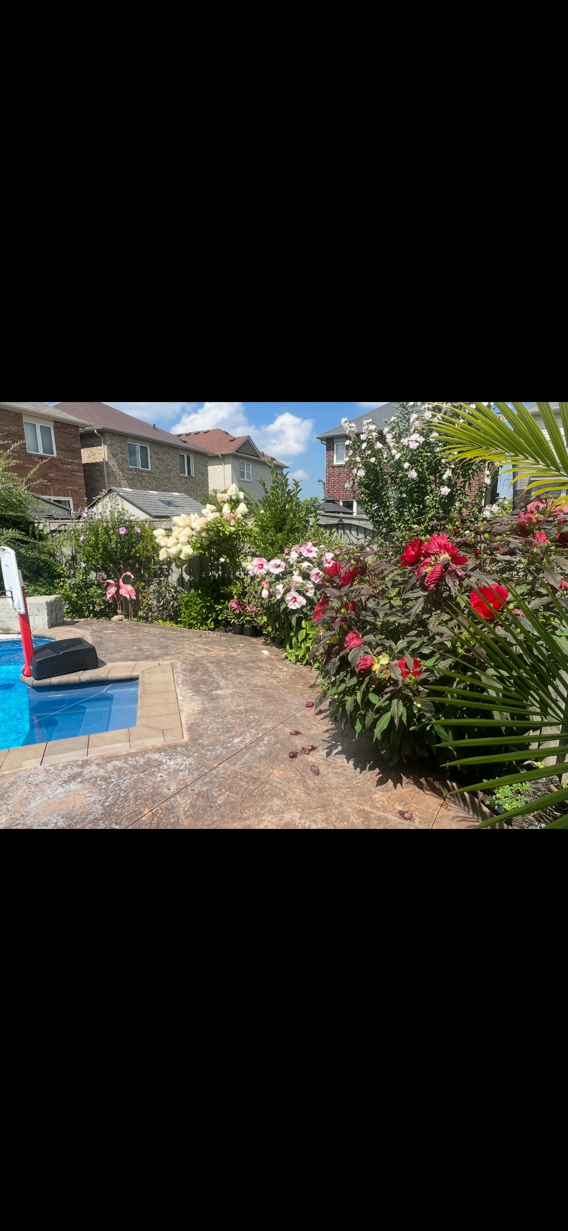 Listing photo-4