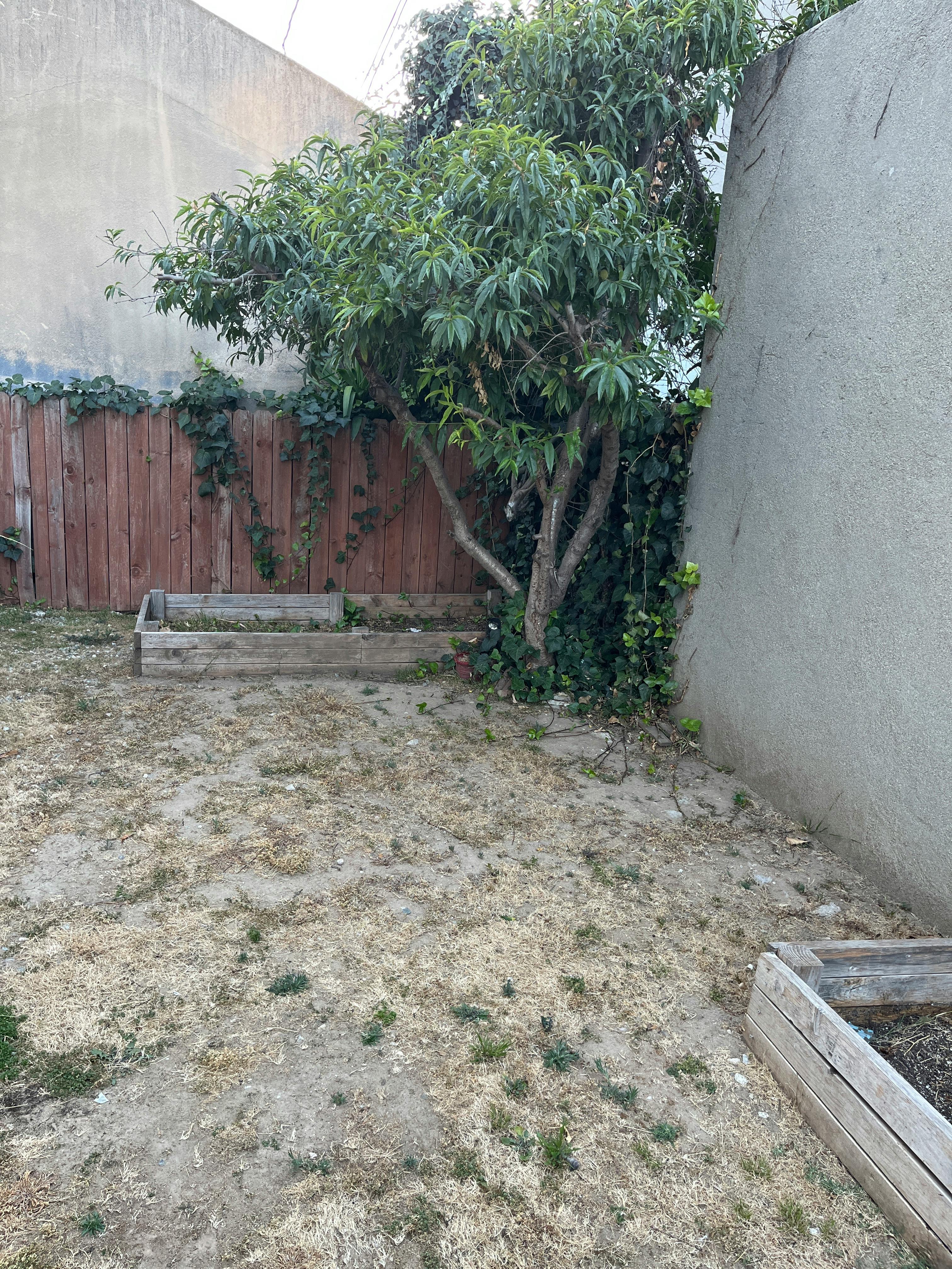 Listing photo-2