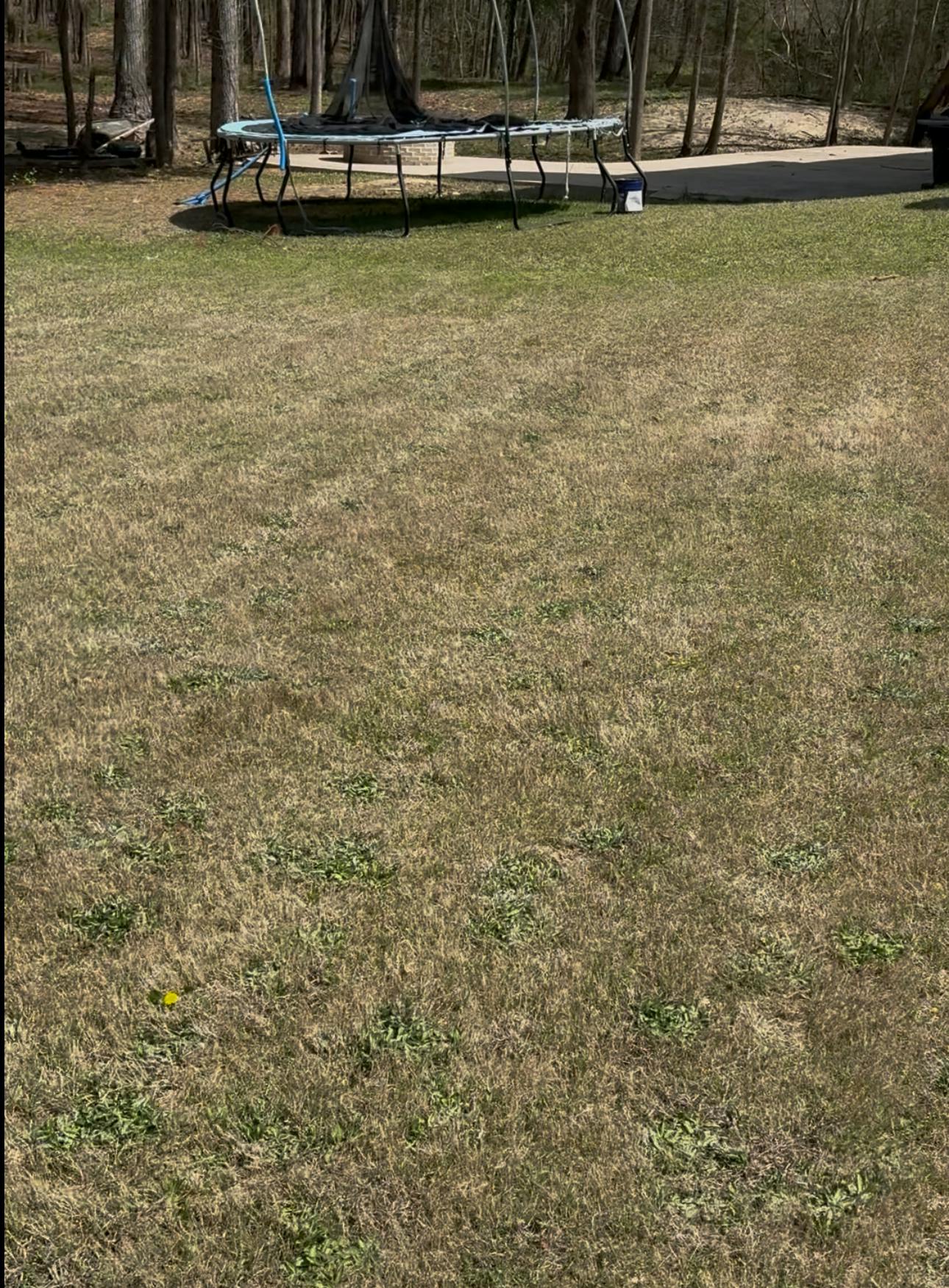 Listing photo-2