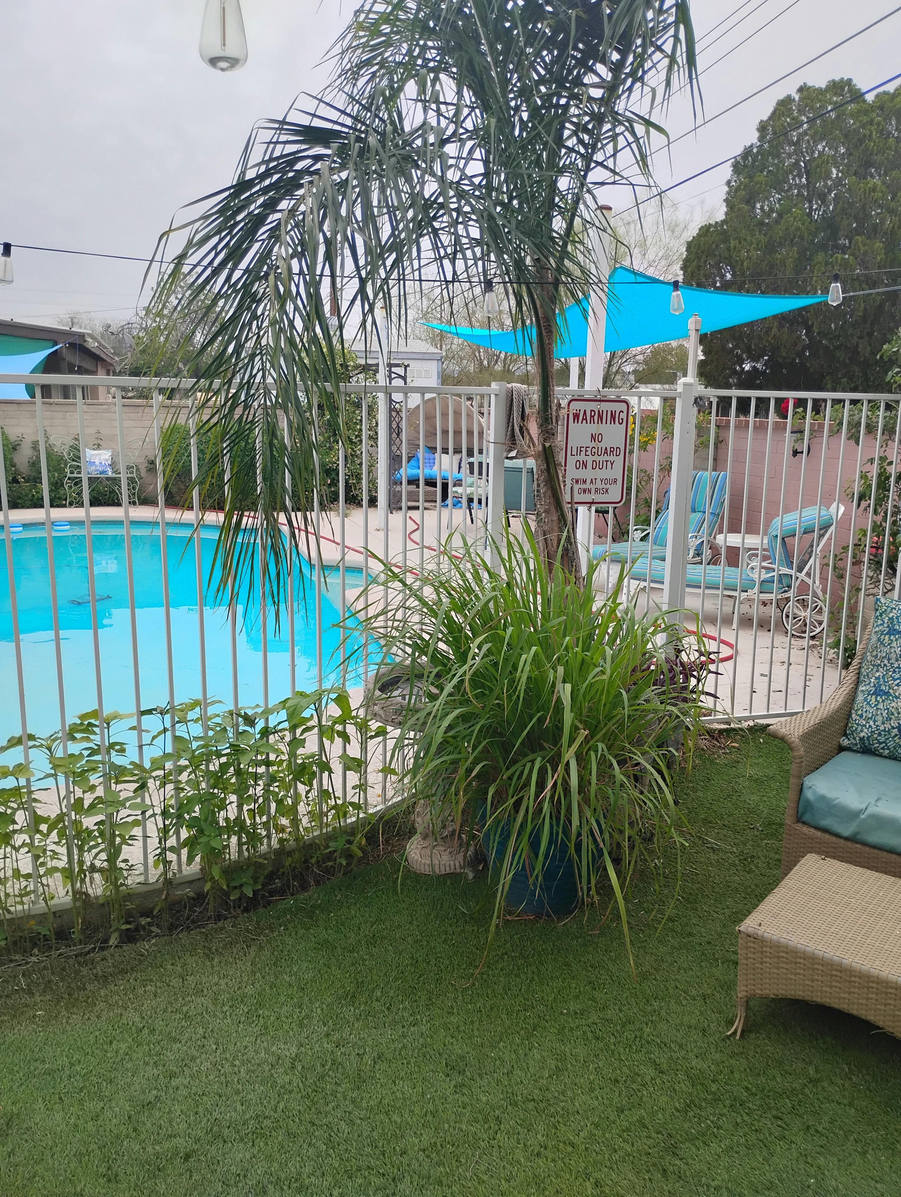 Listing photo-3