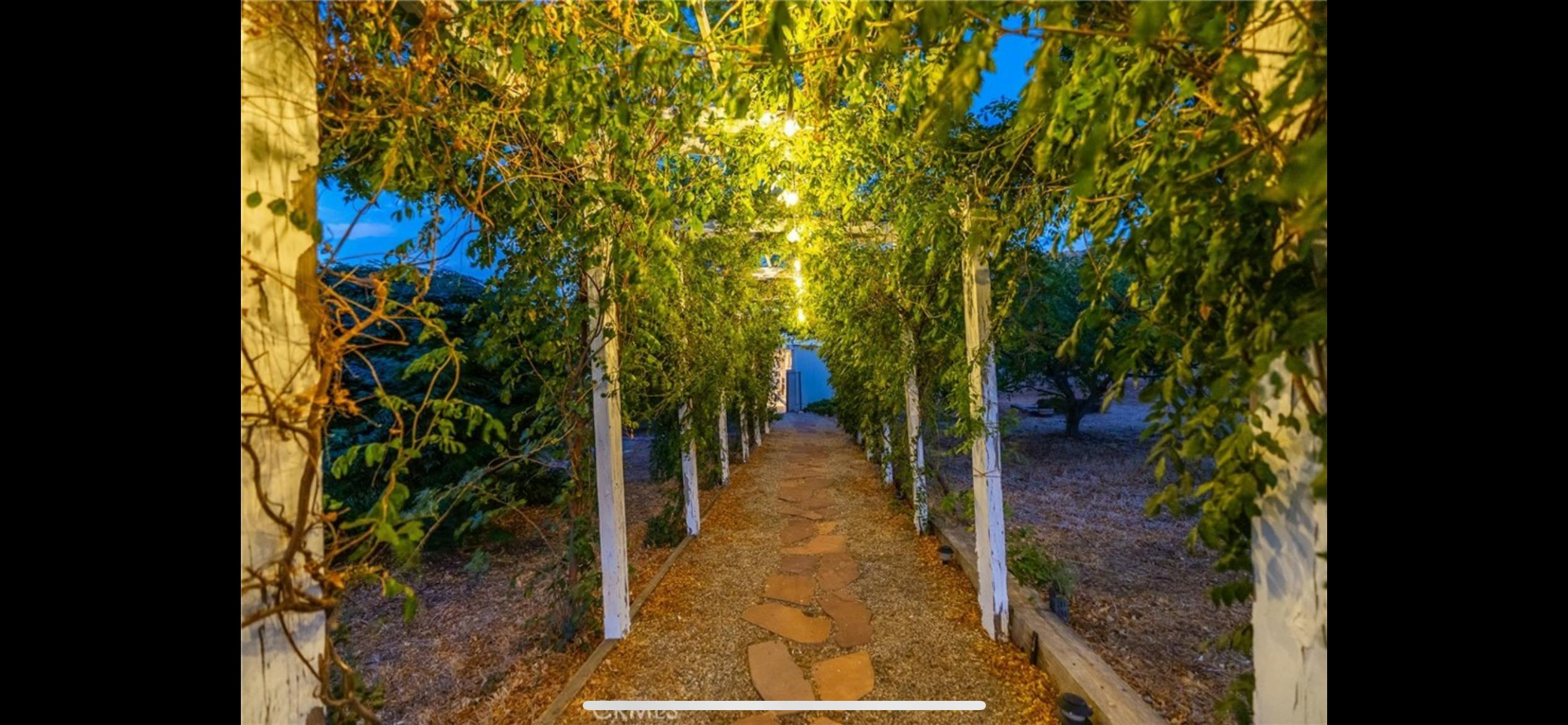Listing photo-3