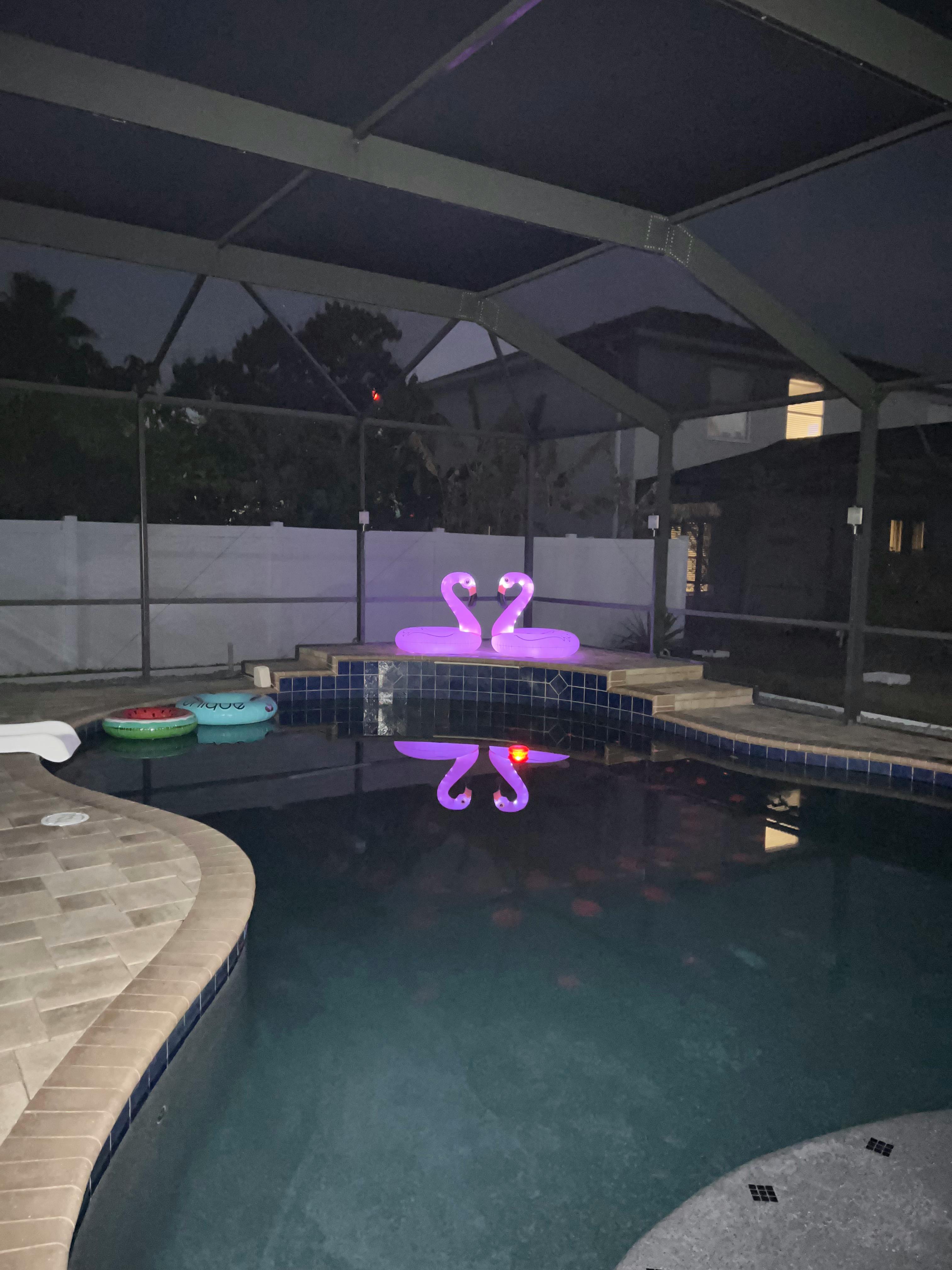 Listing photo-5