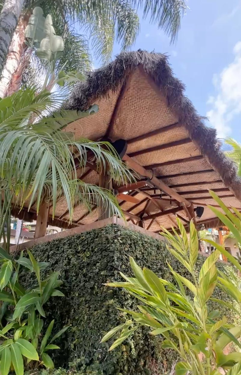 Listing photo-5