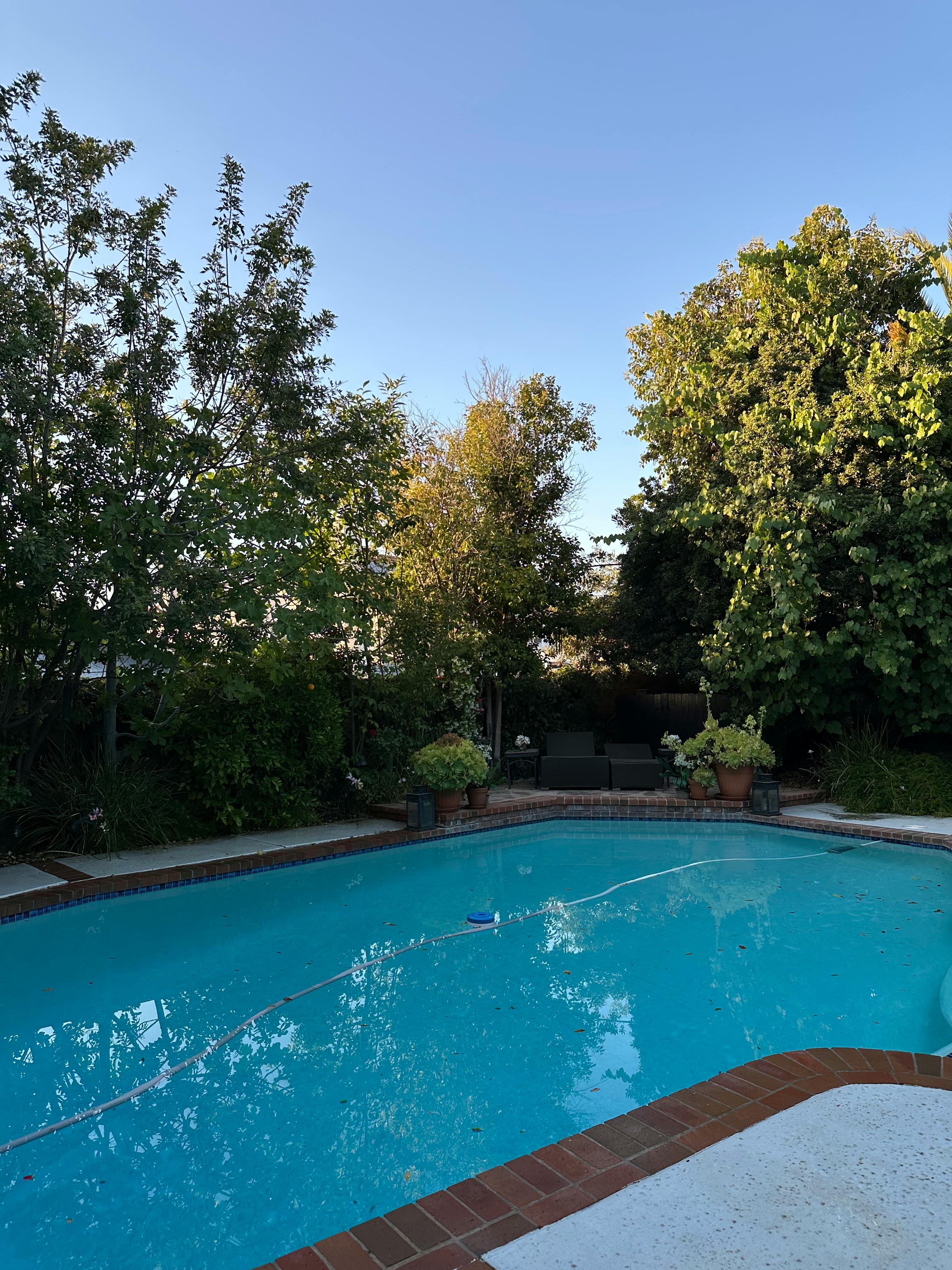Listing photo-4