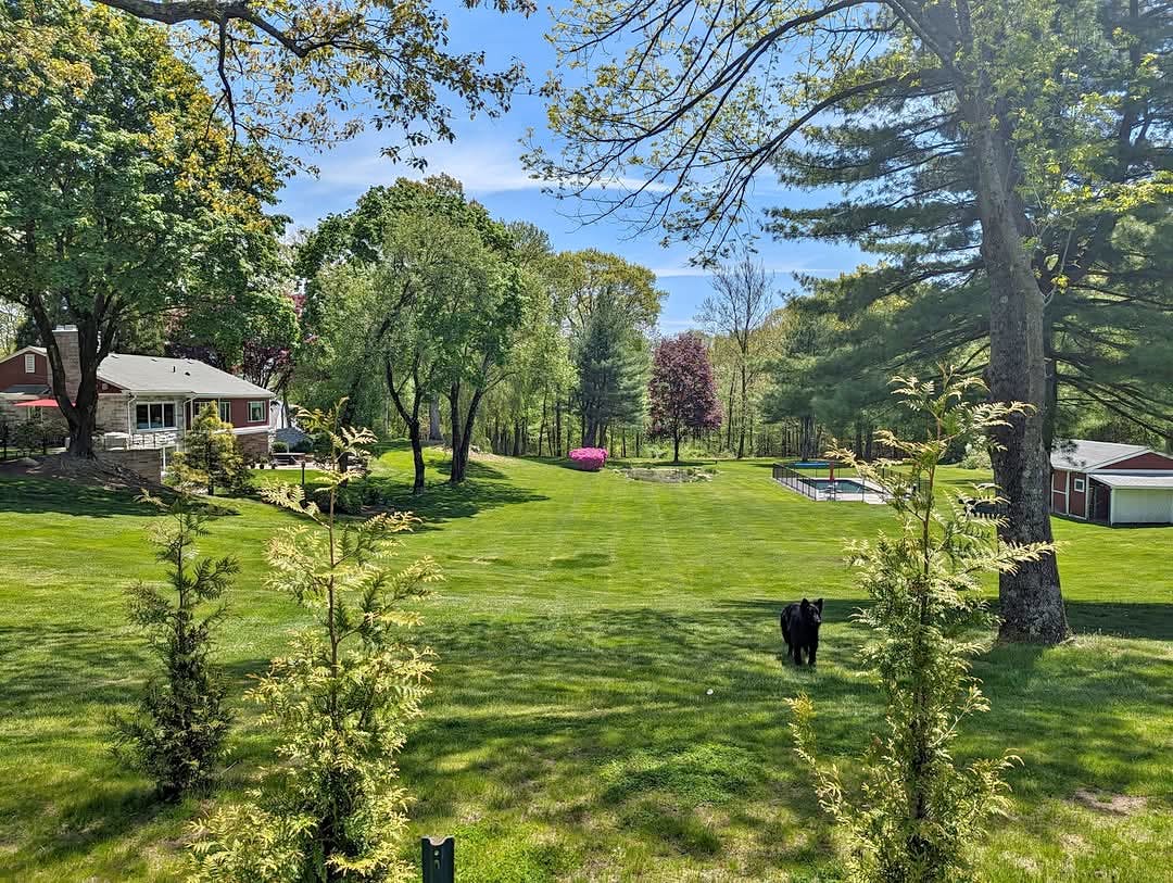 Listing photo-5