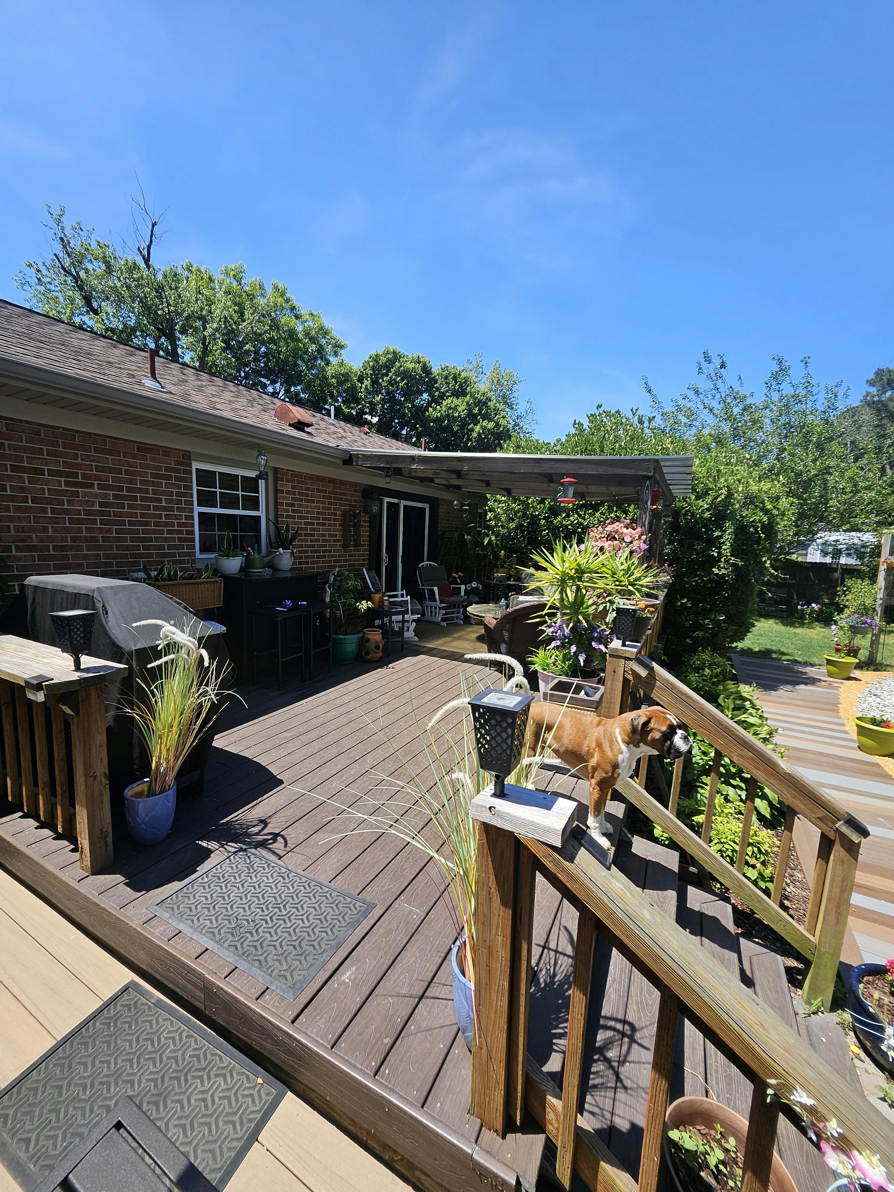 Listing photo-3