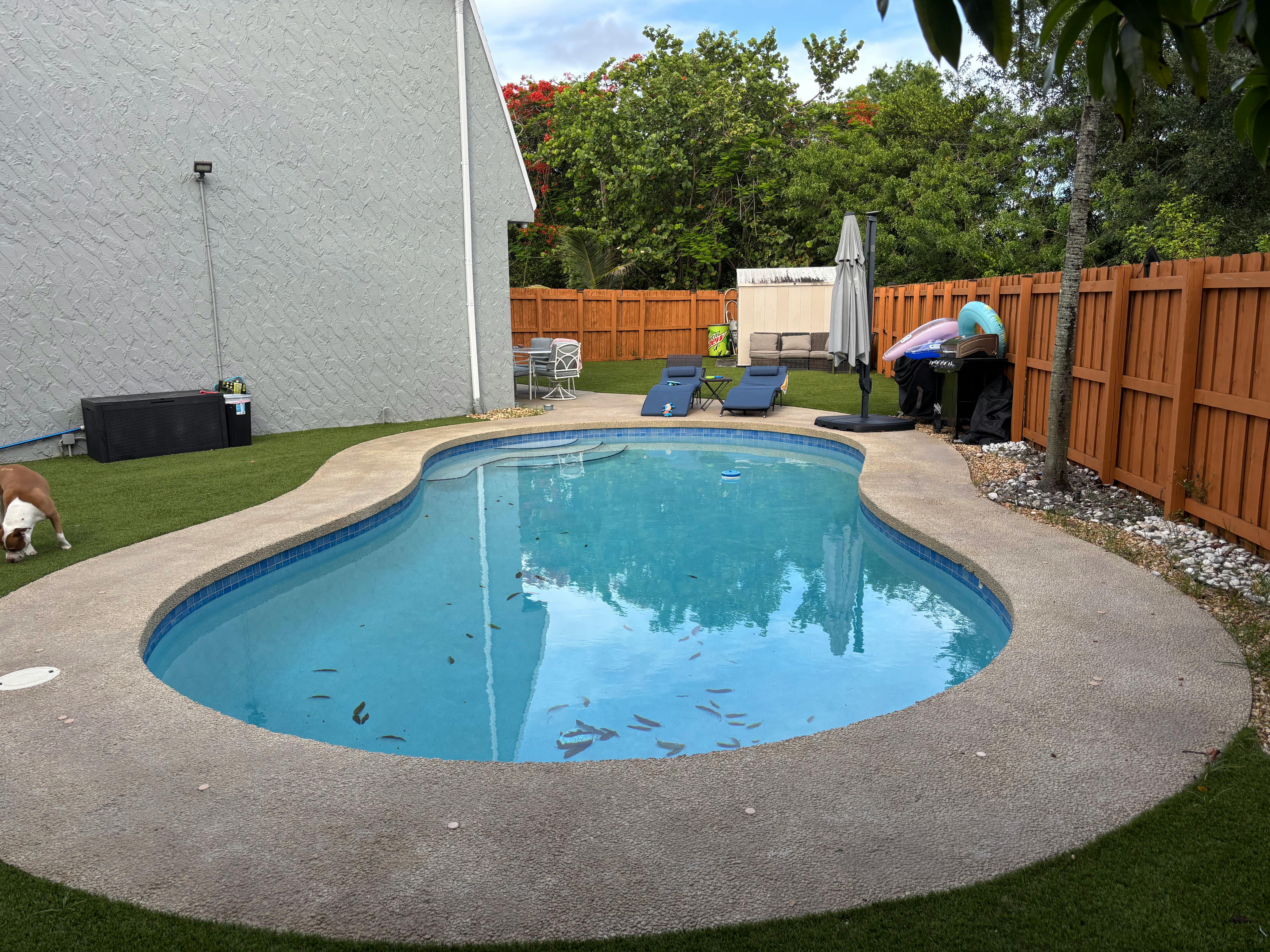 Listing photo-5
