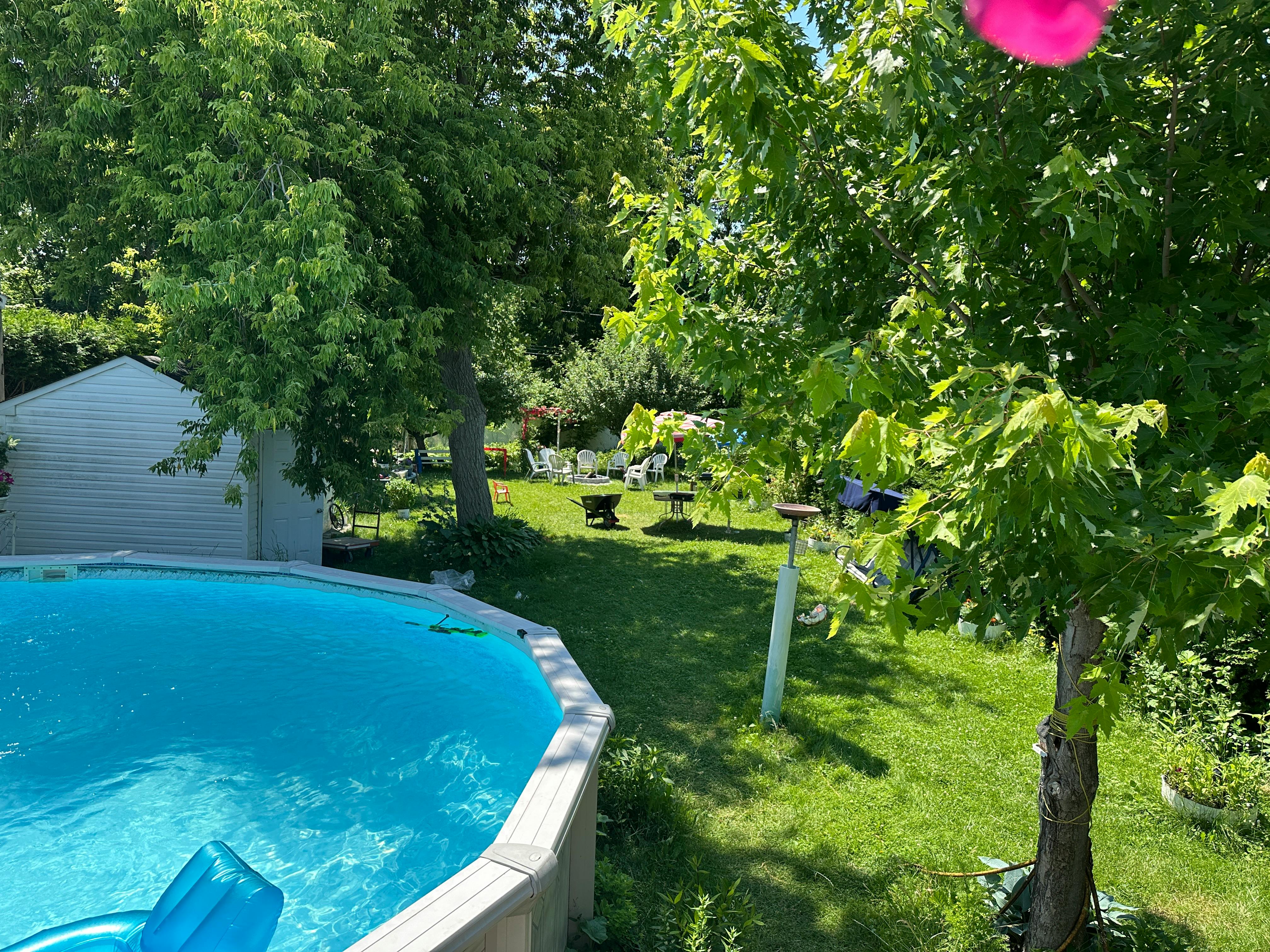 Listing photo-3