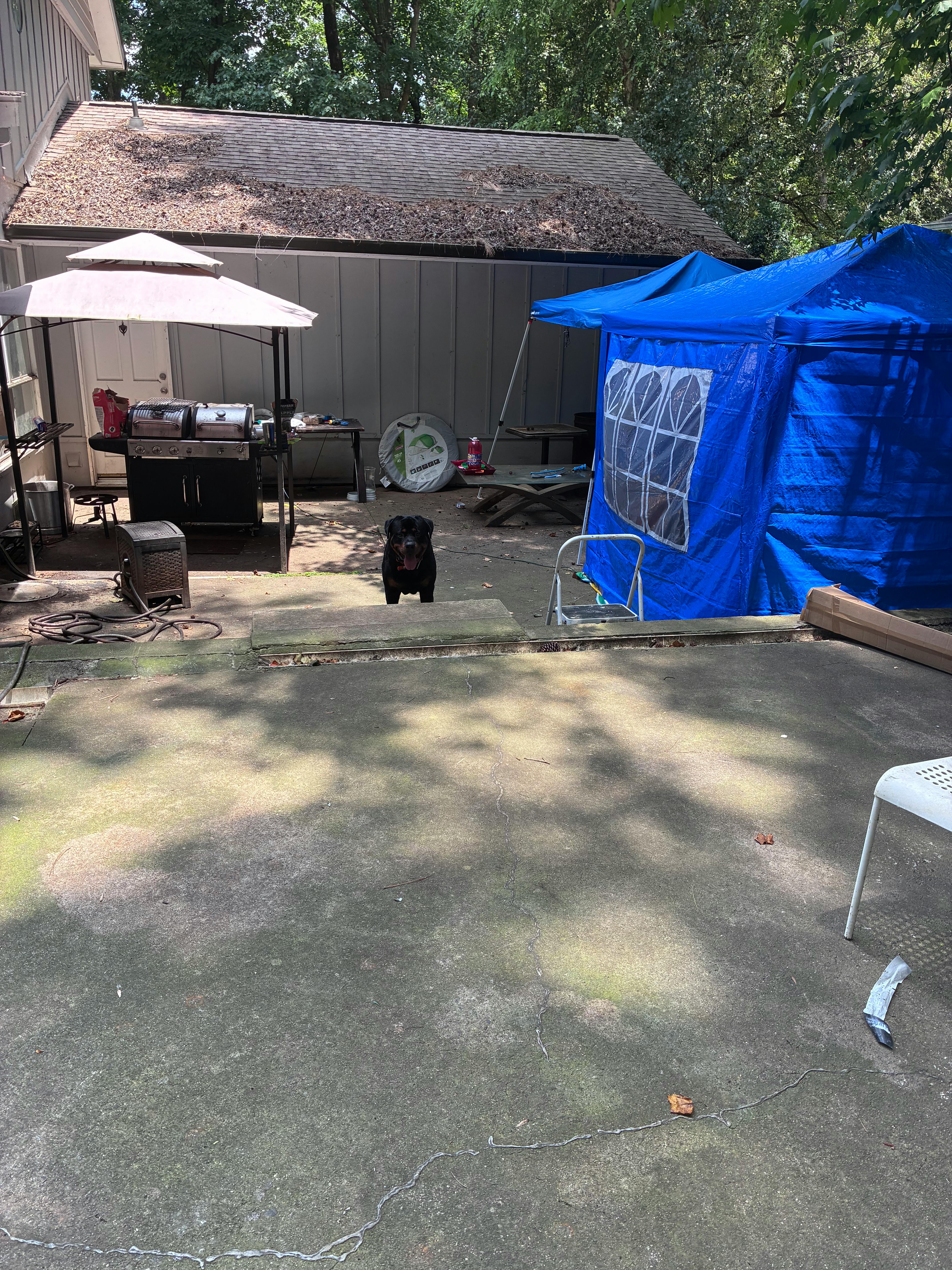 Listing photo-4