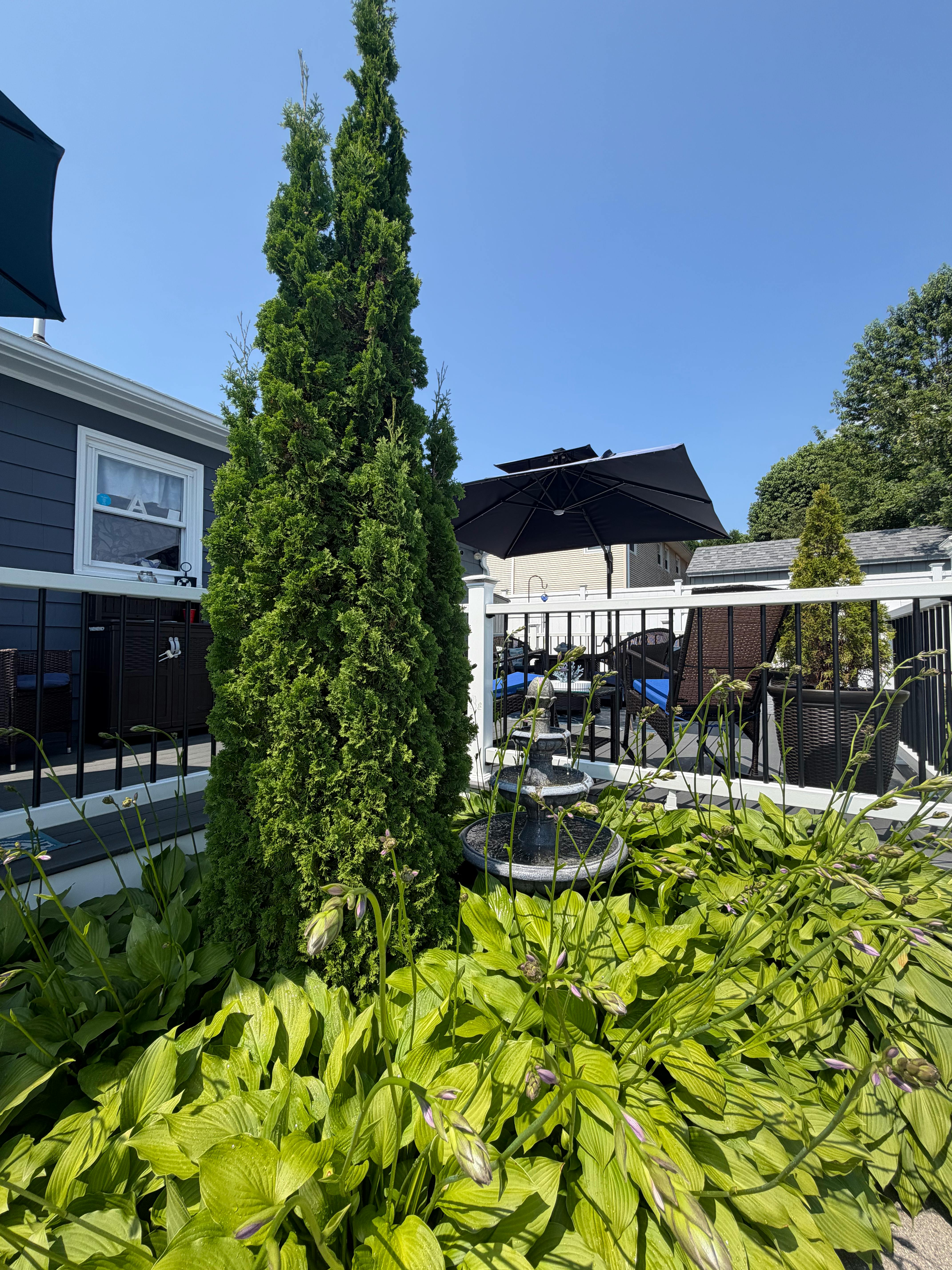 Listing photo-5
