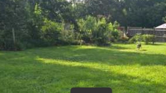 Listing photo-5