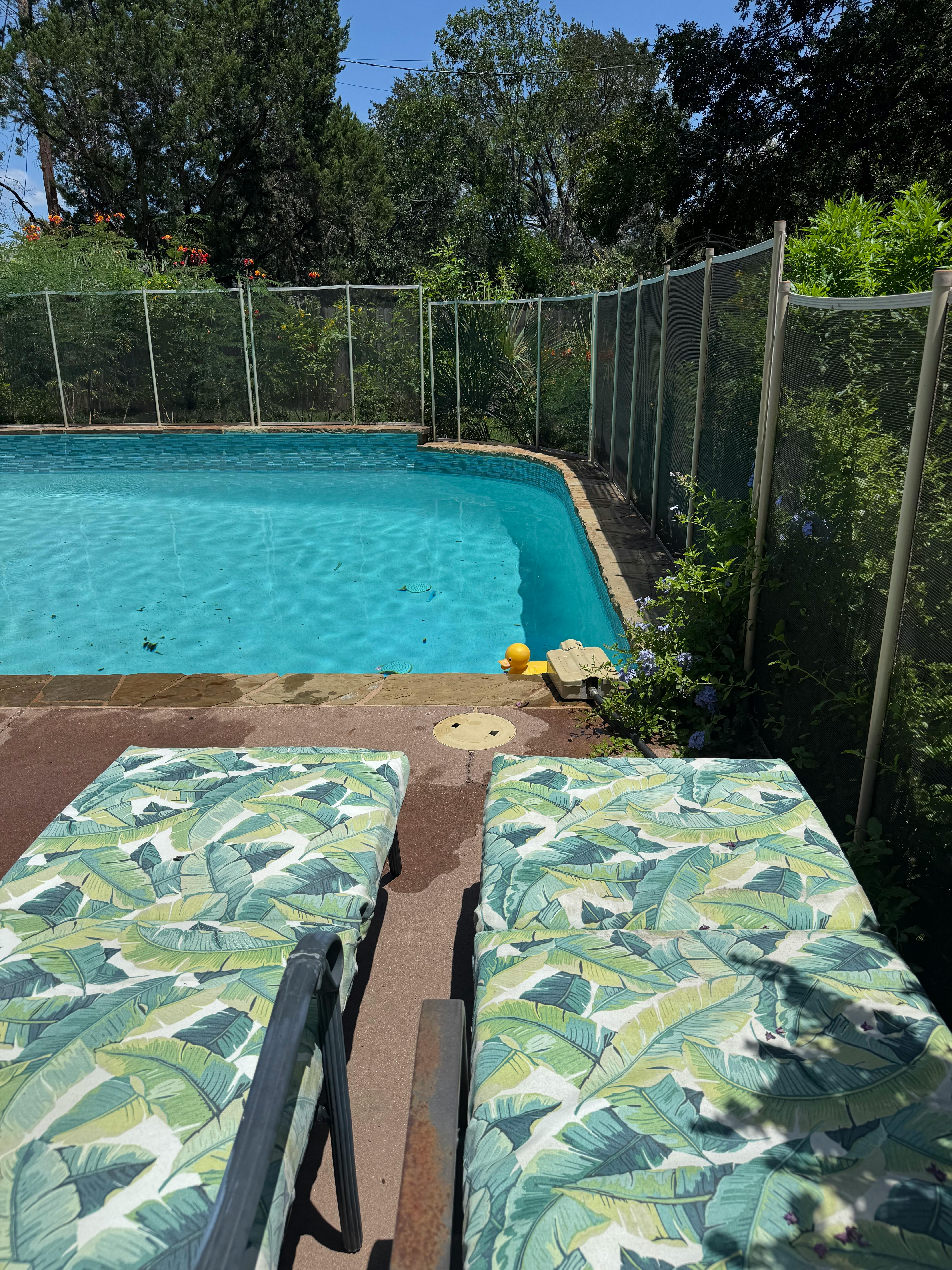 Listing photo-5