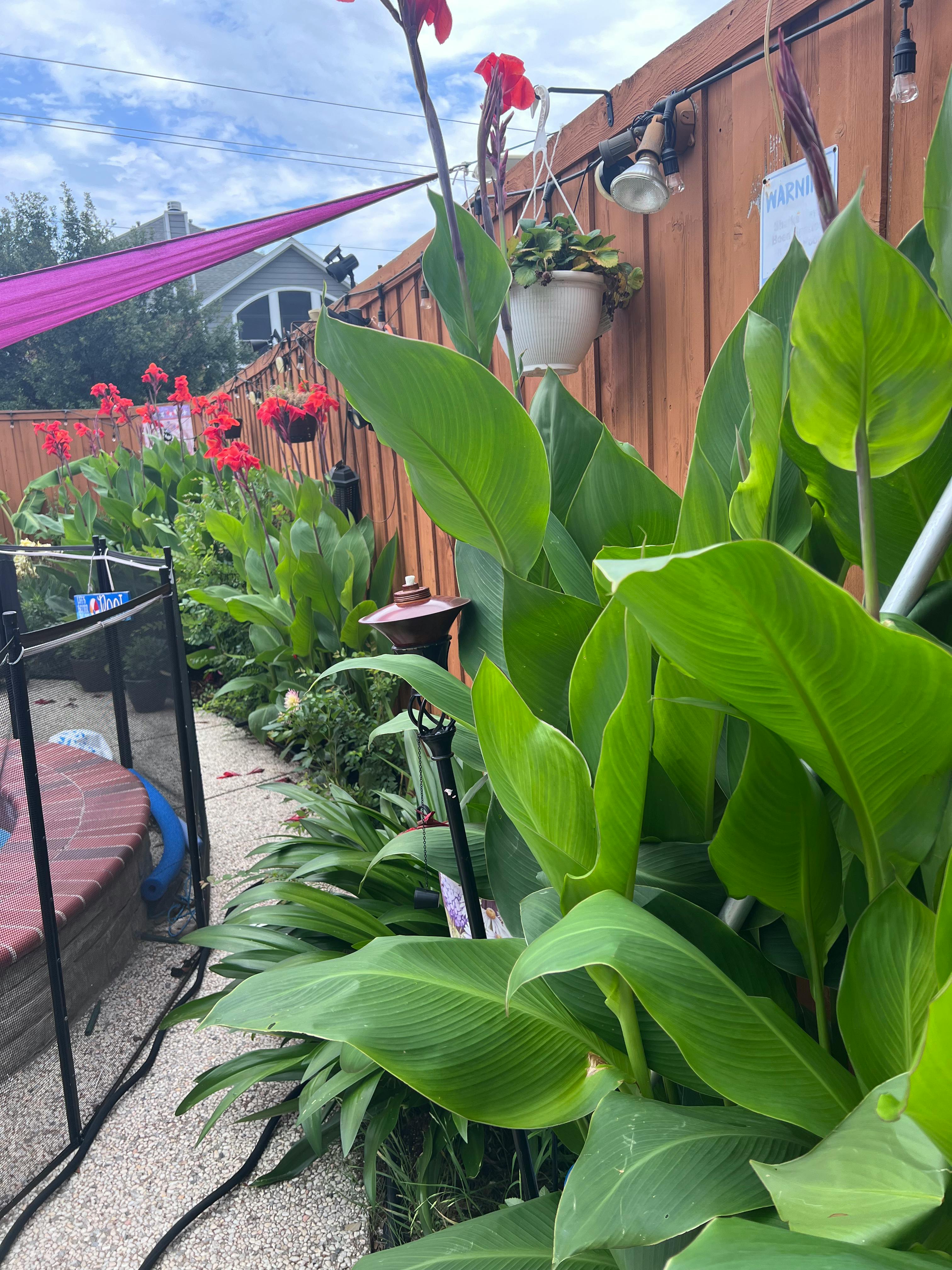 Listing photo-5