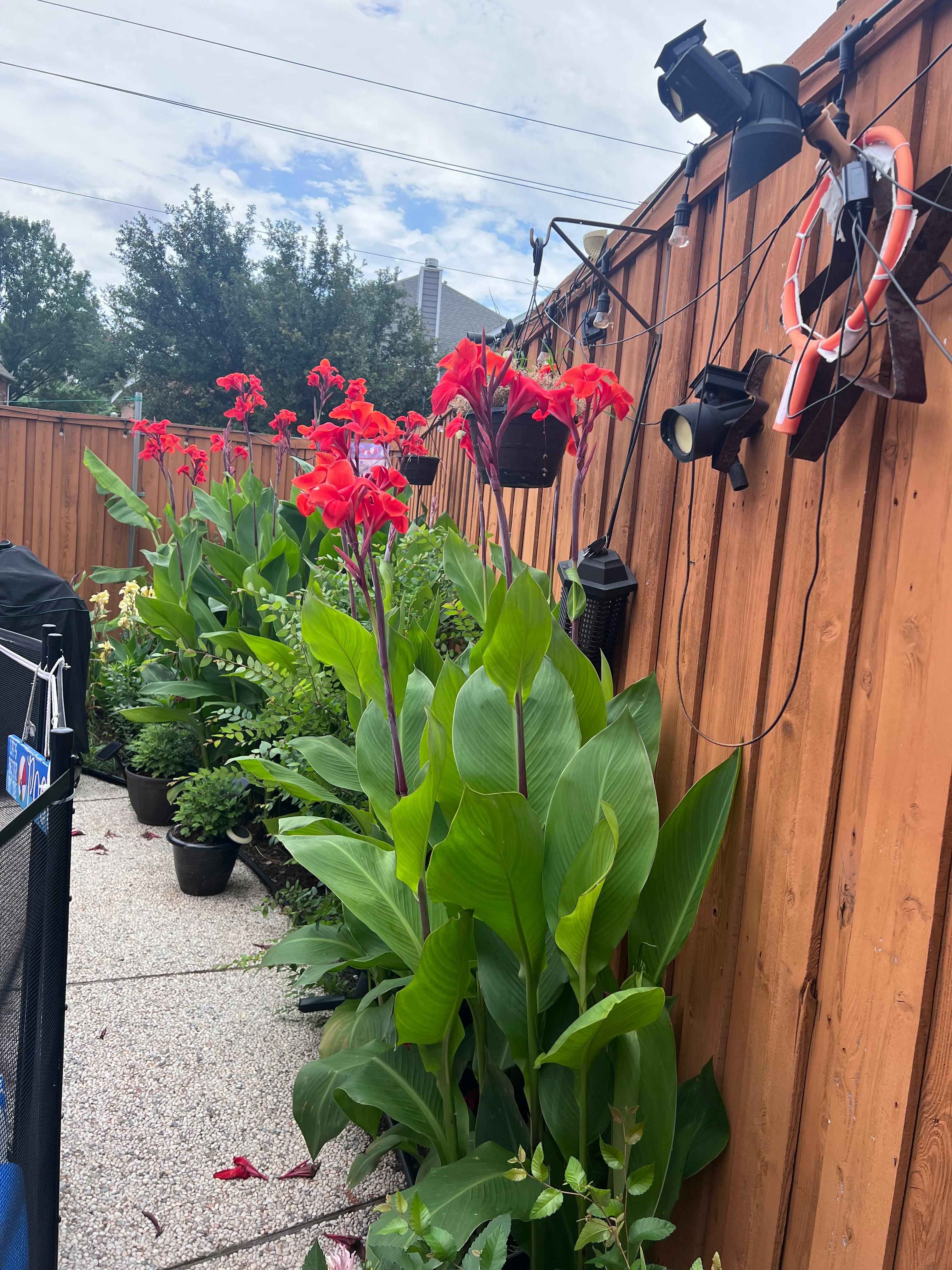 Listing photo-4