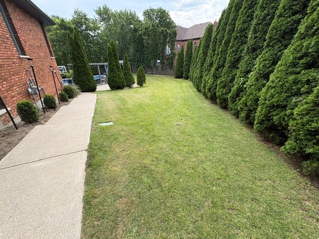 Listing photo-5