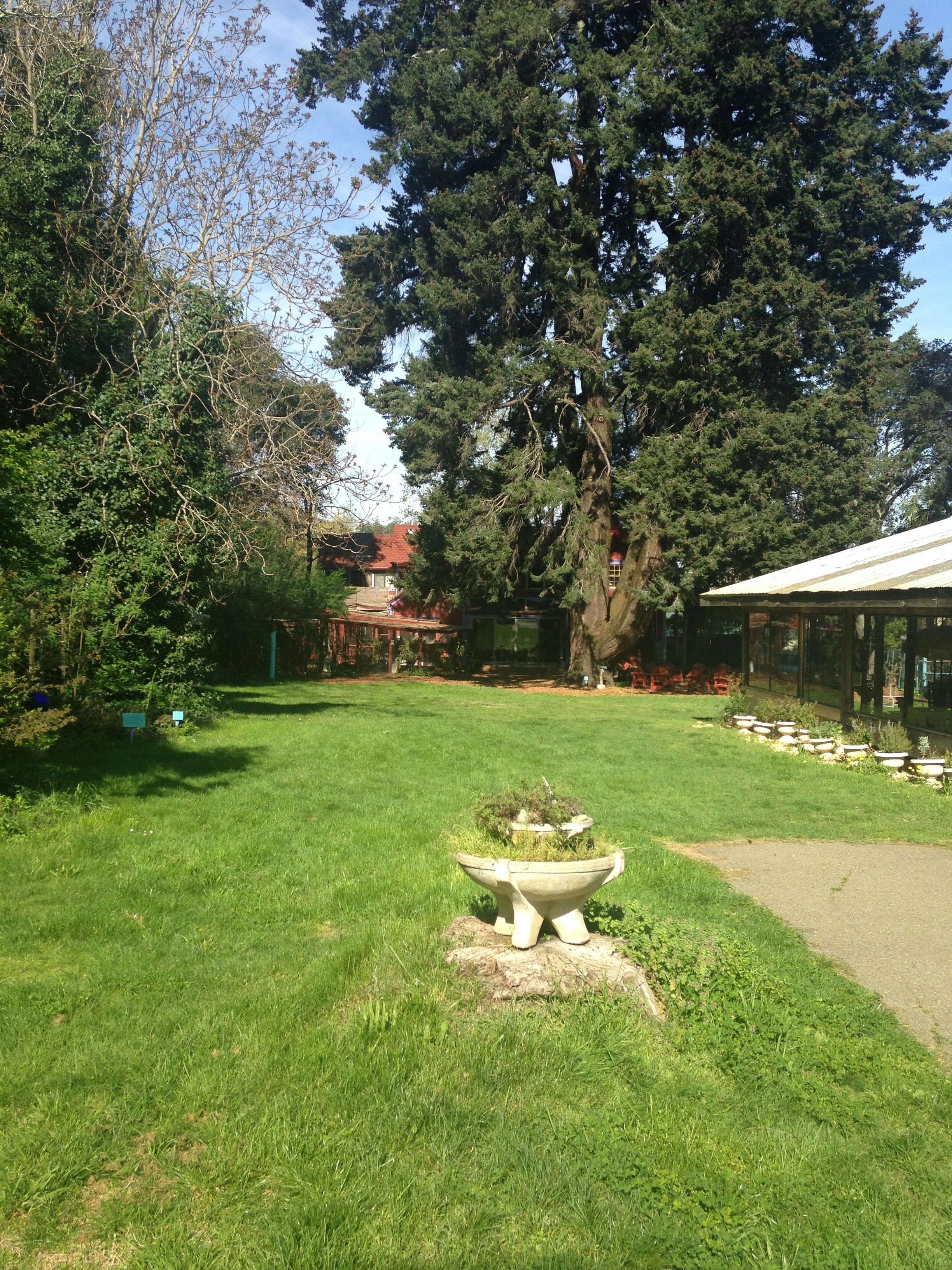 Listing photo-2