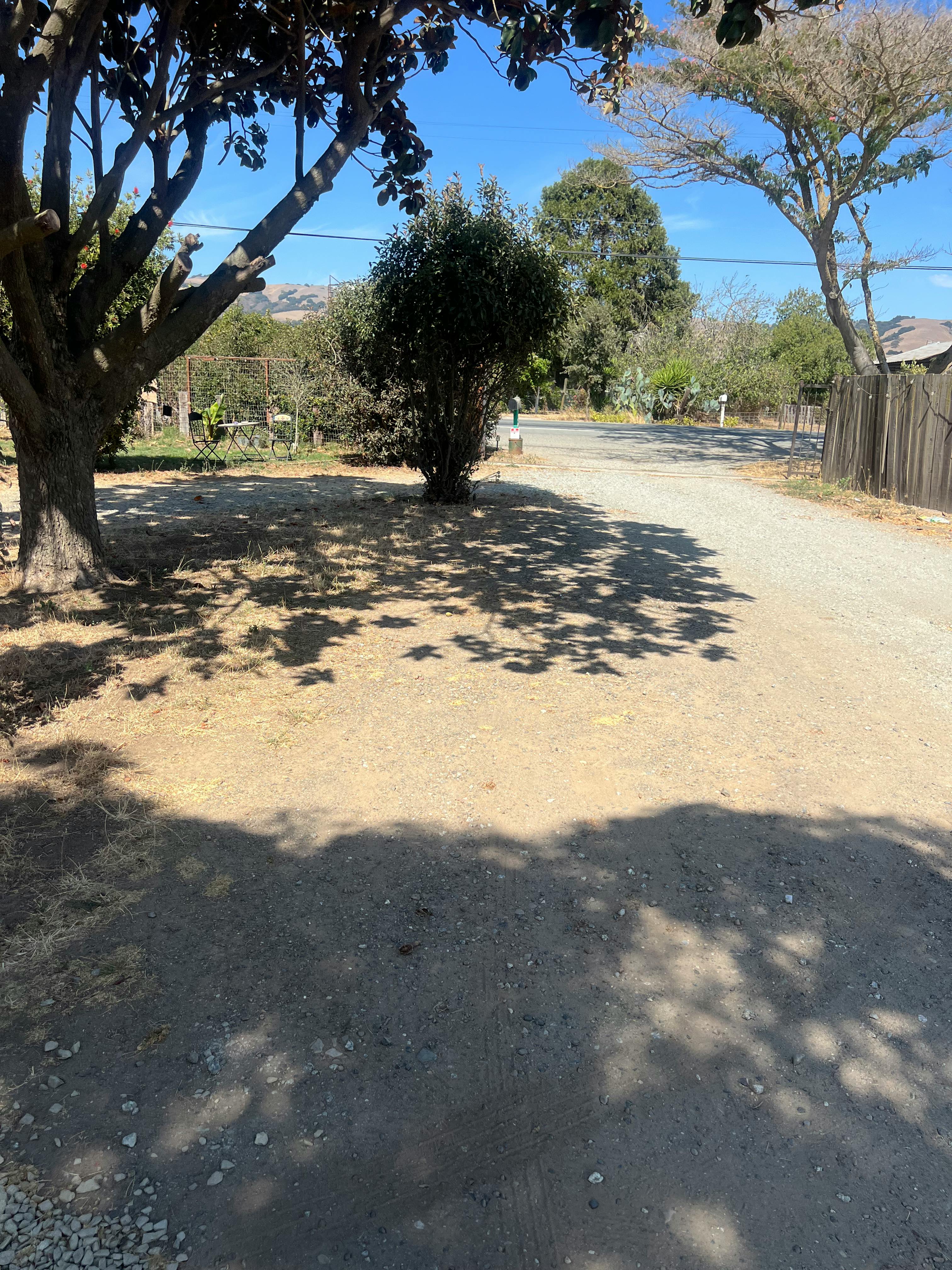 Listing photo-4