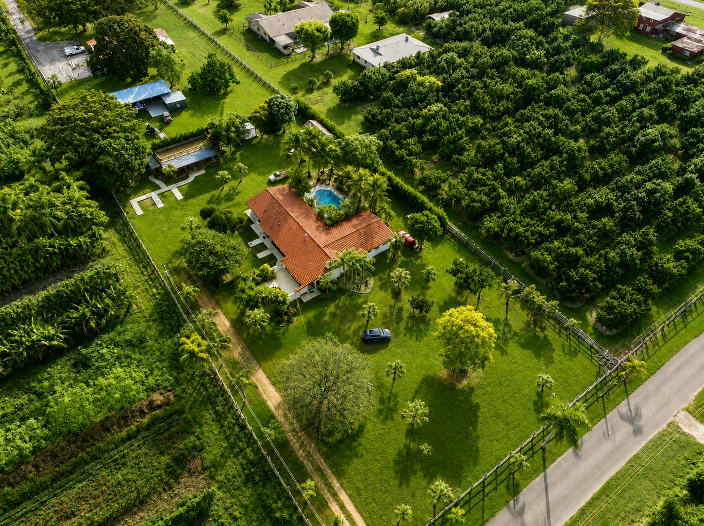 Listing photo-4