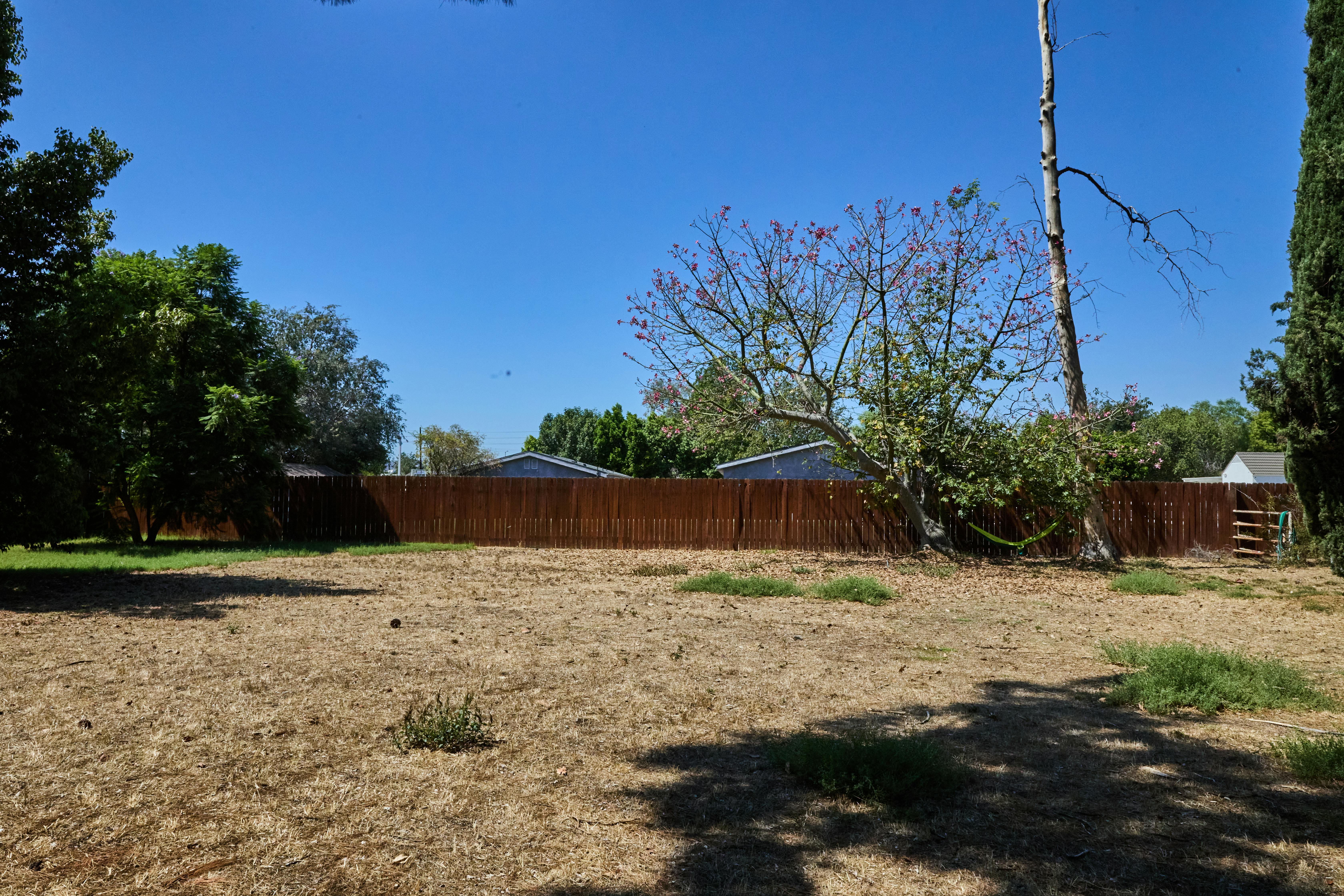Listing photo-5