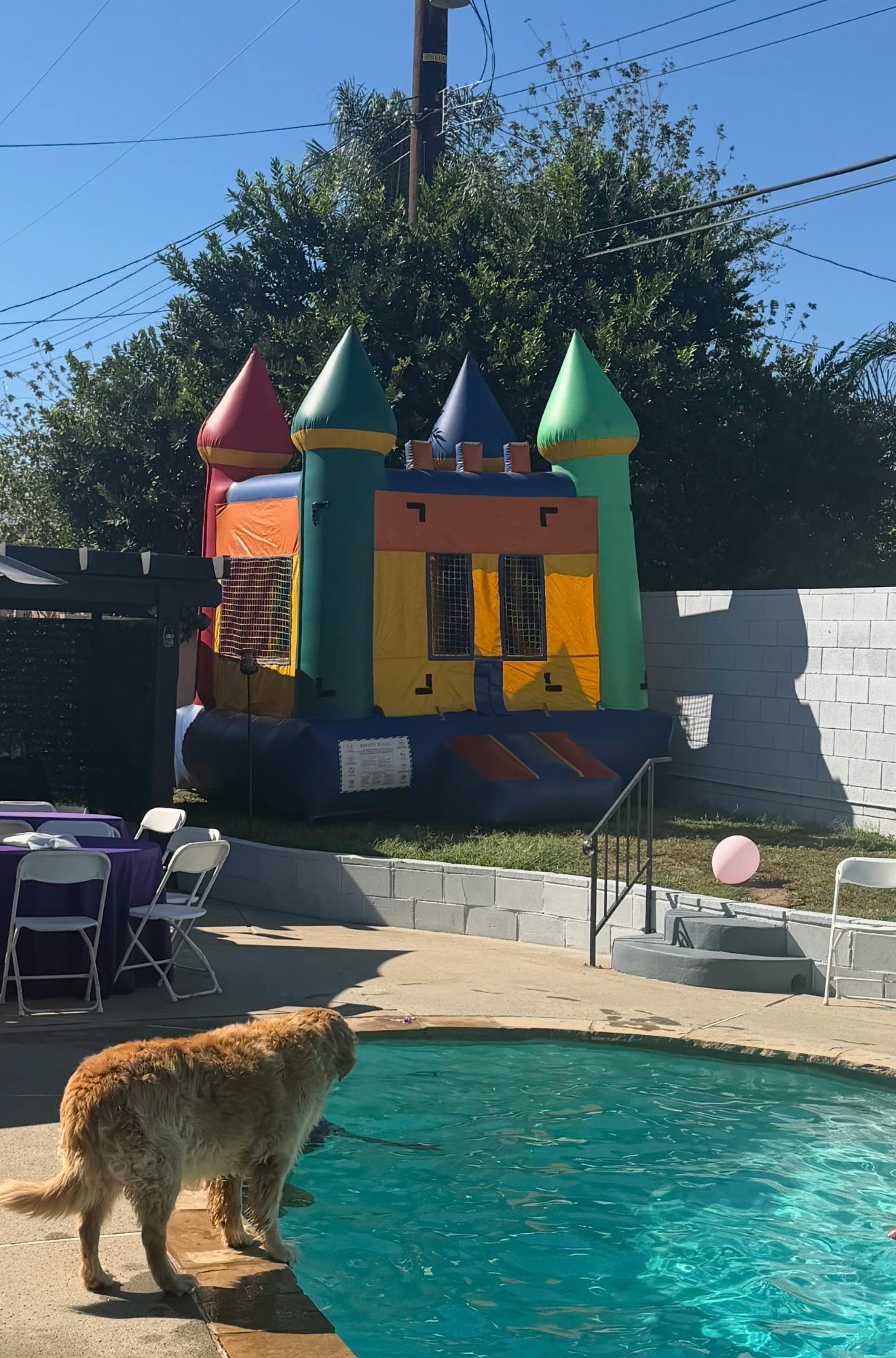 Listing photo-3