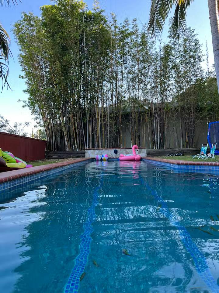 Listing photo-2