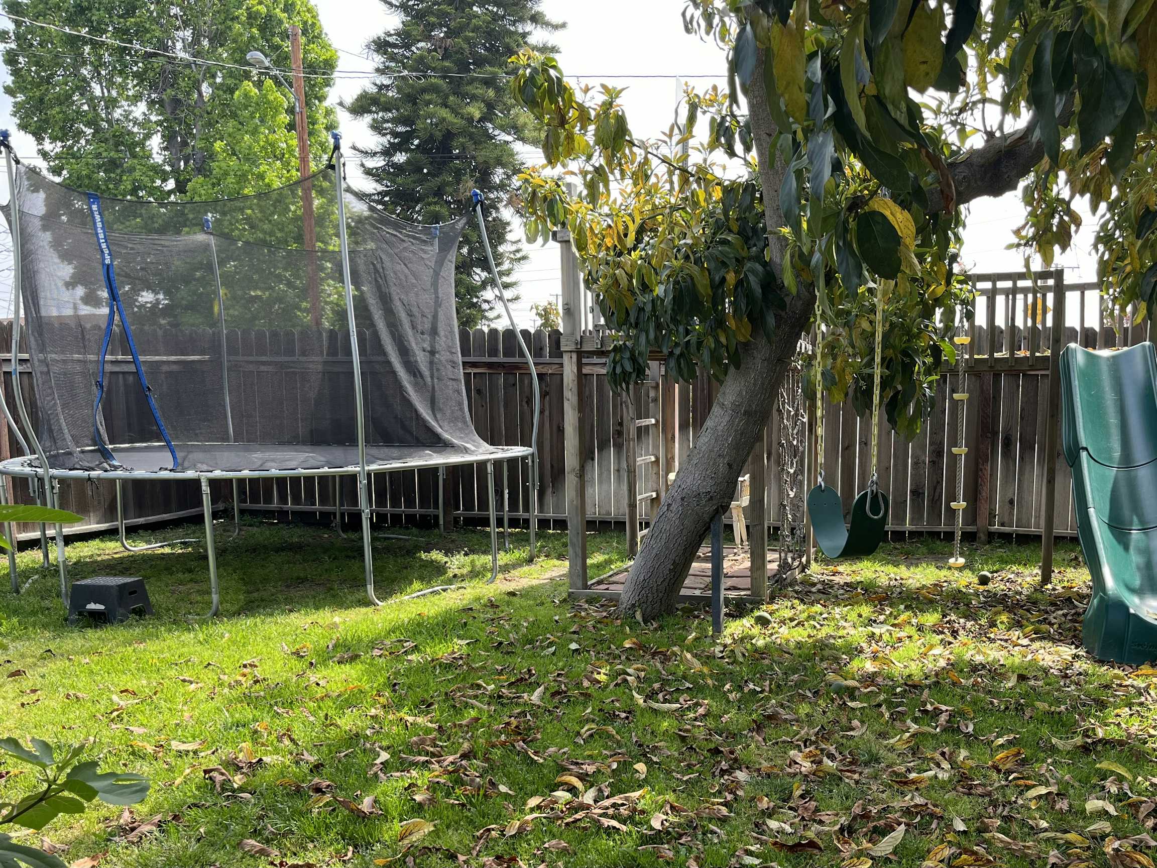 Listing photo-5