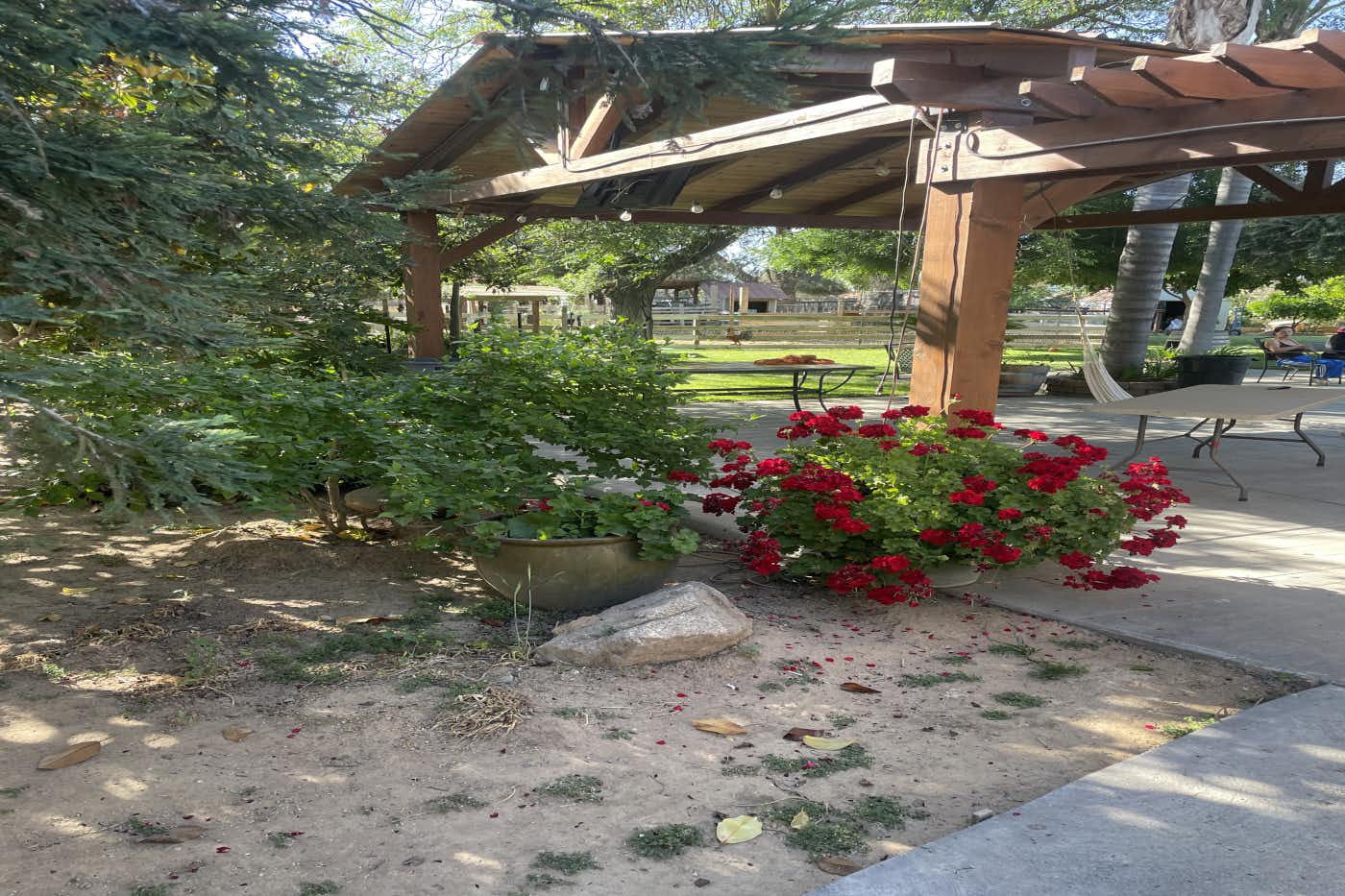 Listing photo-5
