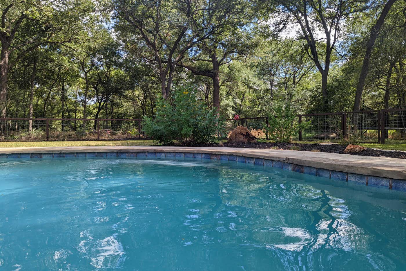 Listing photo-5