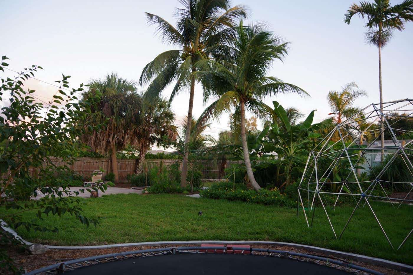 Listing photo-3