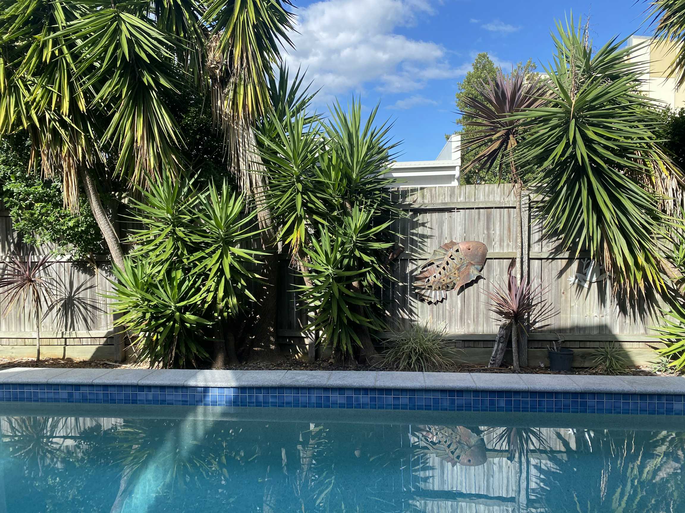 Listing photo-2